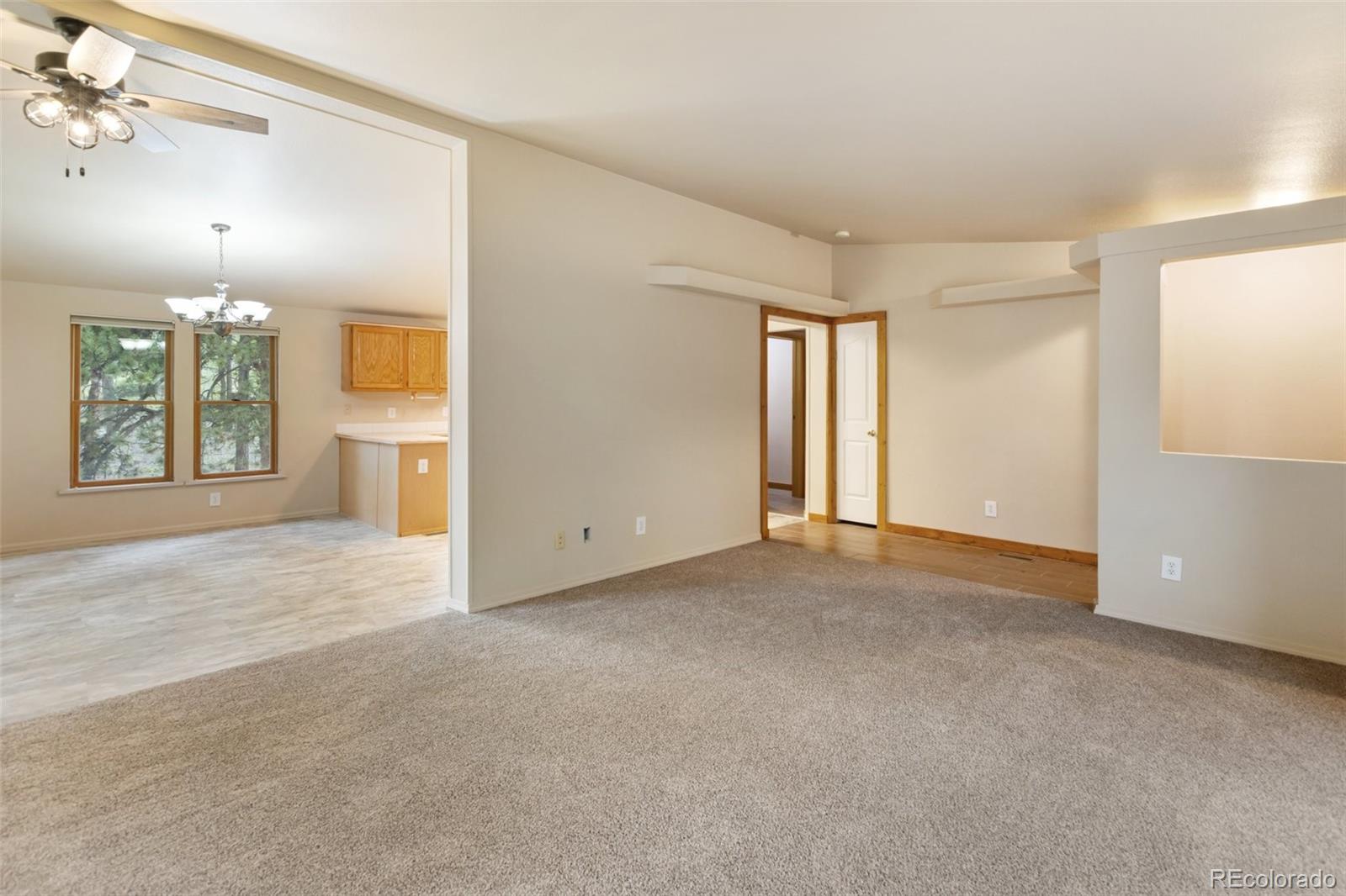 MLS Image #4 for 534  poncha creek trail,florissant, Colorado