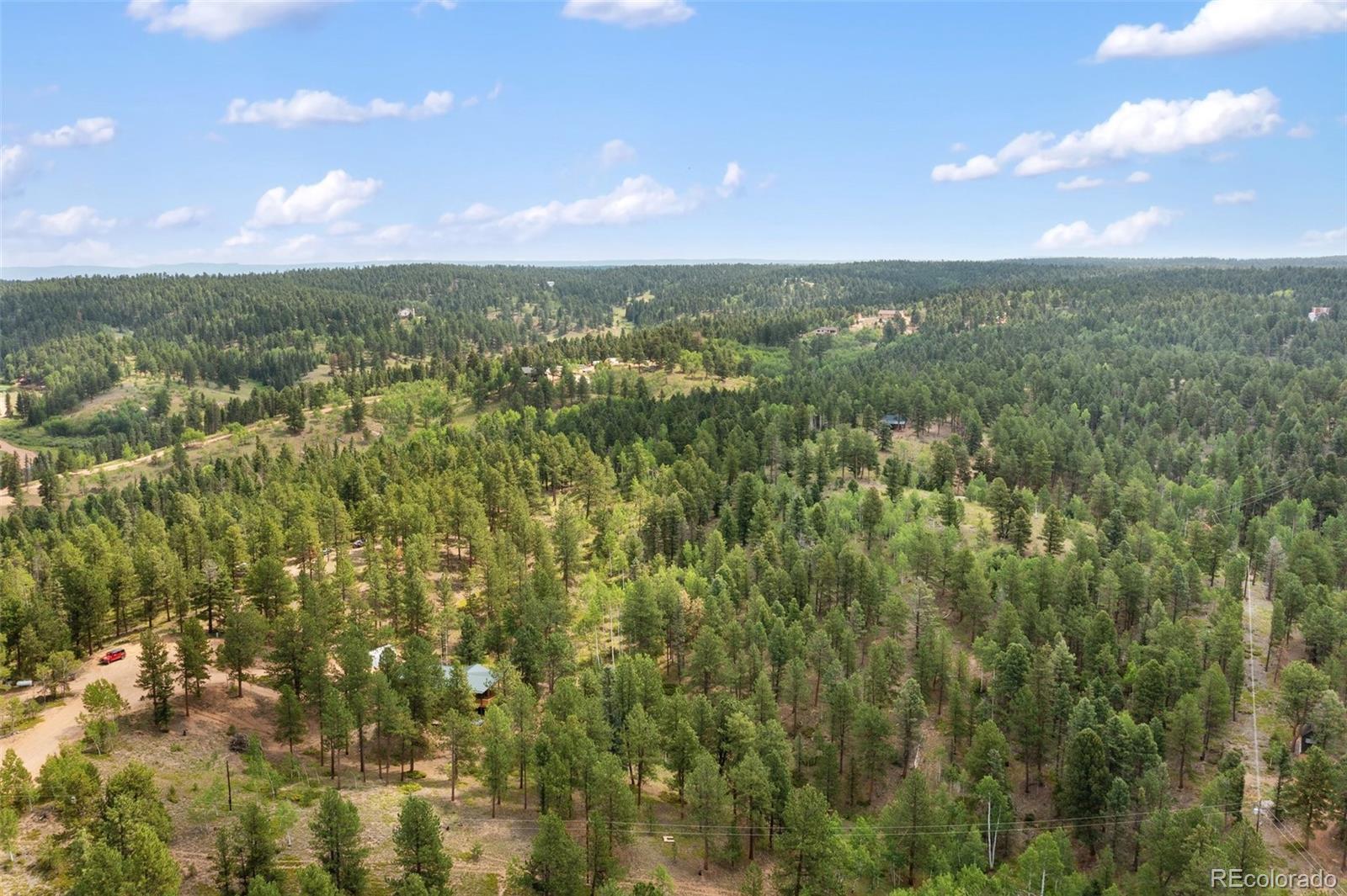 MLS Image #46 for 534  poncha creek trail,florissant, Colorado