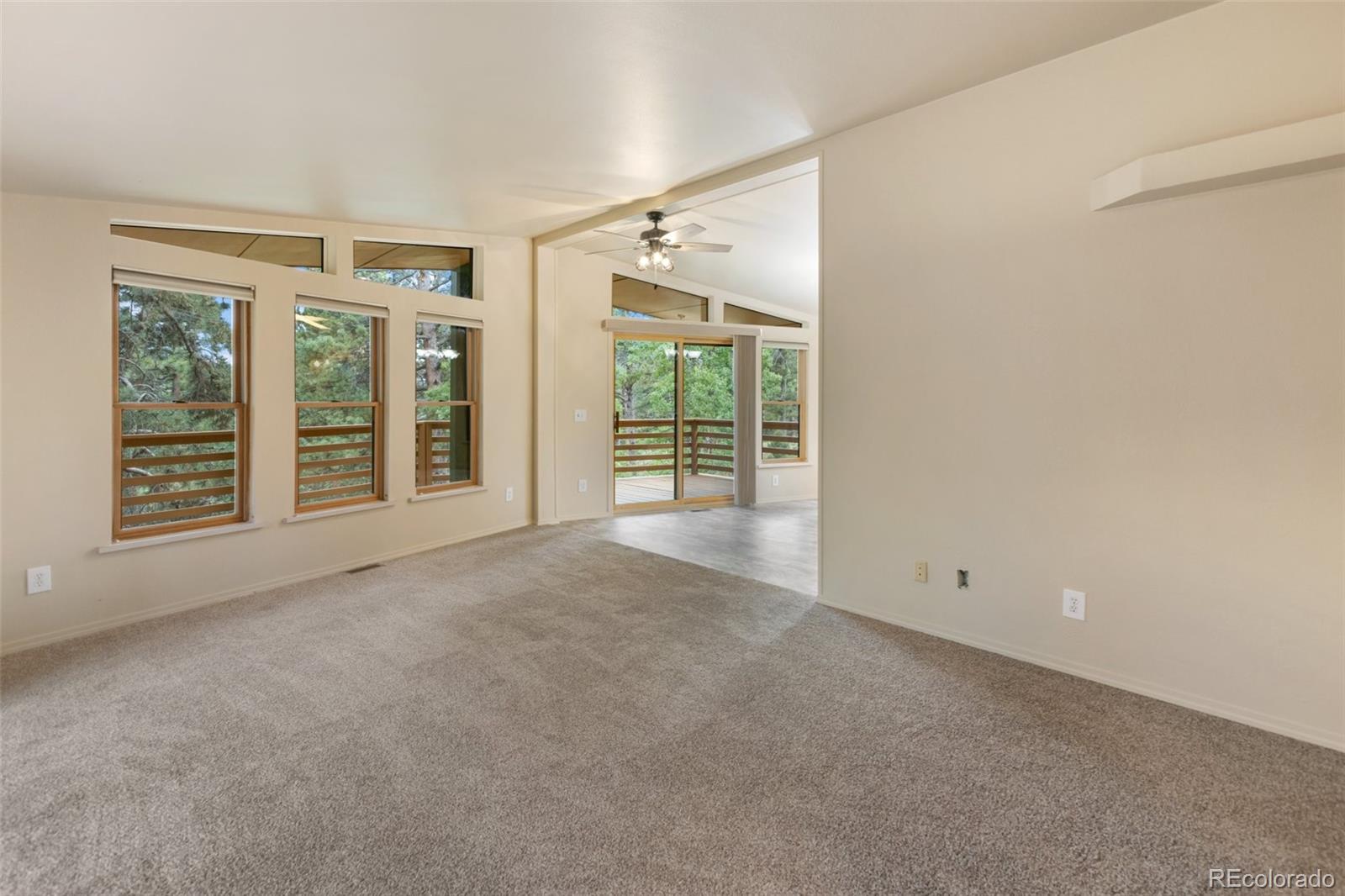 MLS Image #5 for 534  poncha creek trail,florissant, Colorado
