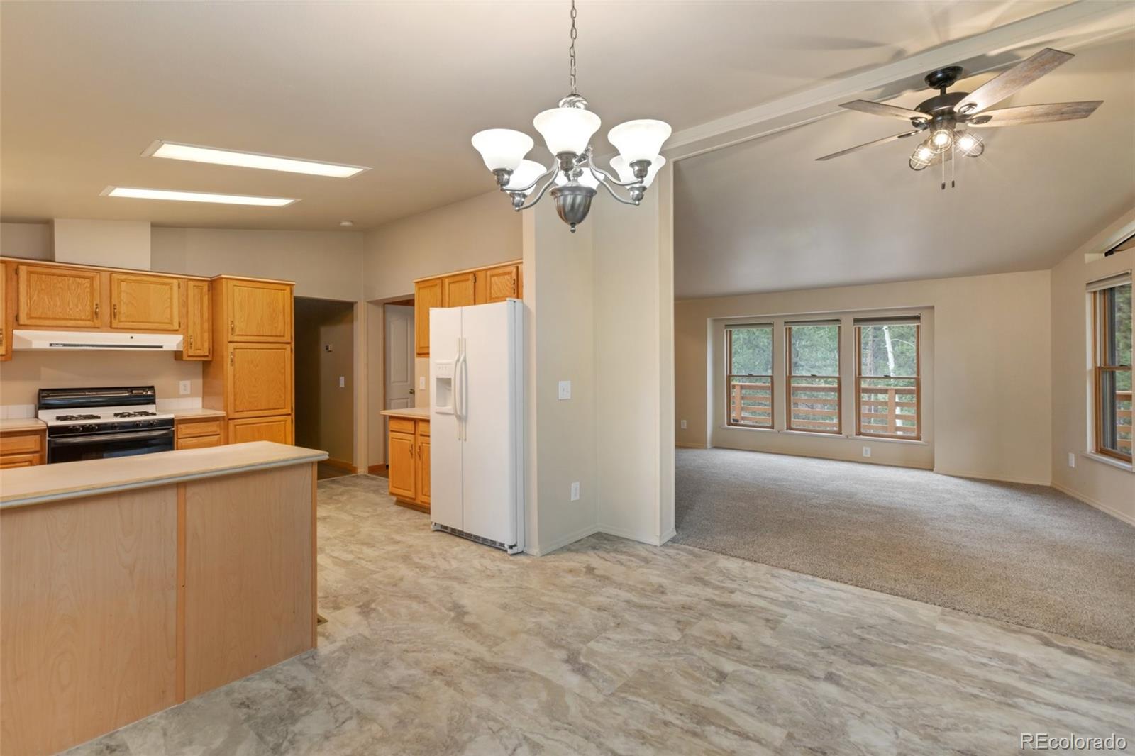 MLS Image #7 for 534  poncha creek trail,florissant, Colorado