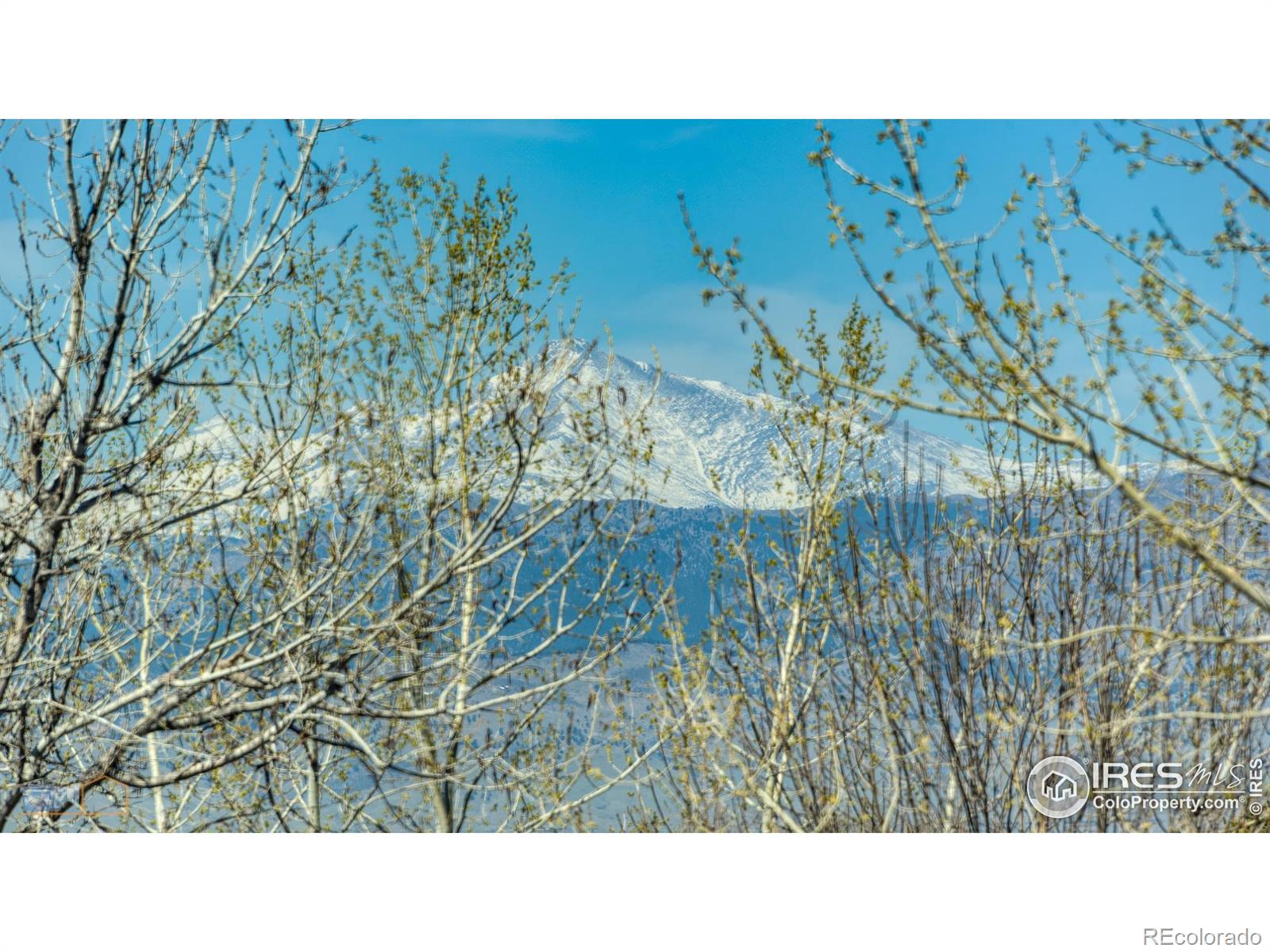 MLS Image #6 for 2305  glacier court,lafayette, Colorado