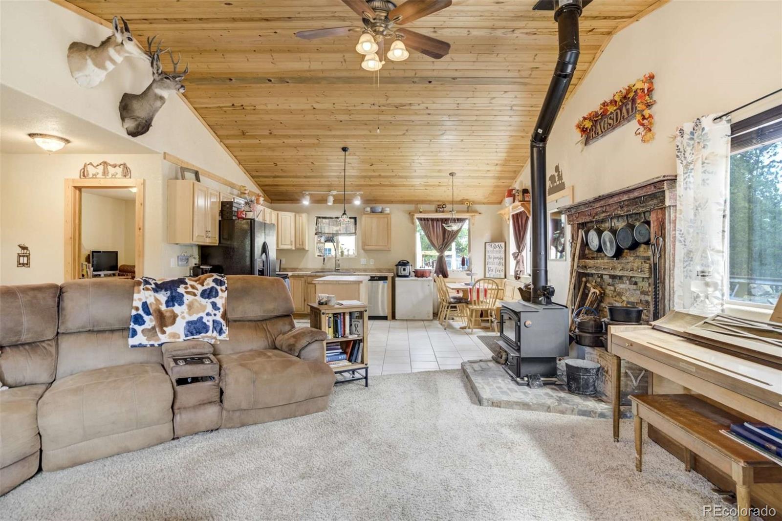 MLS Image #10 for 141  cabin lane,guffey, Colorado