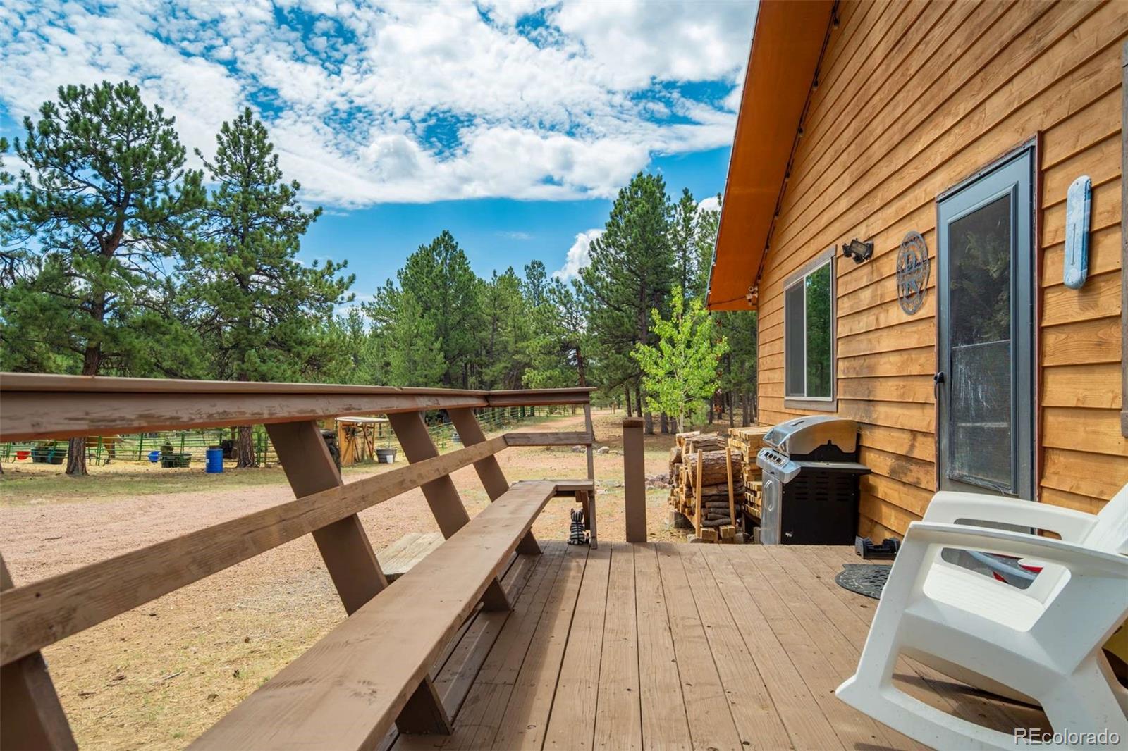 MLS Image #12 for 141  cabin lane,guffey, Colorado