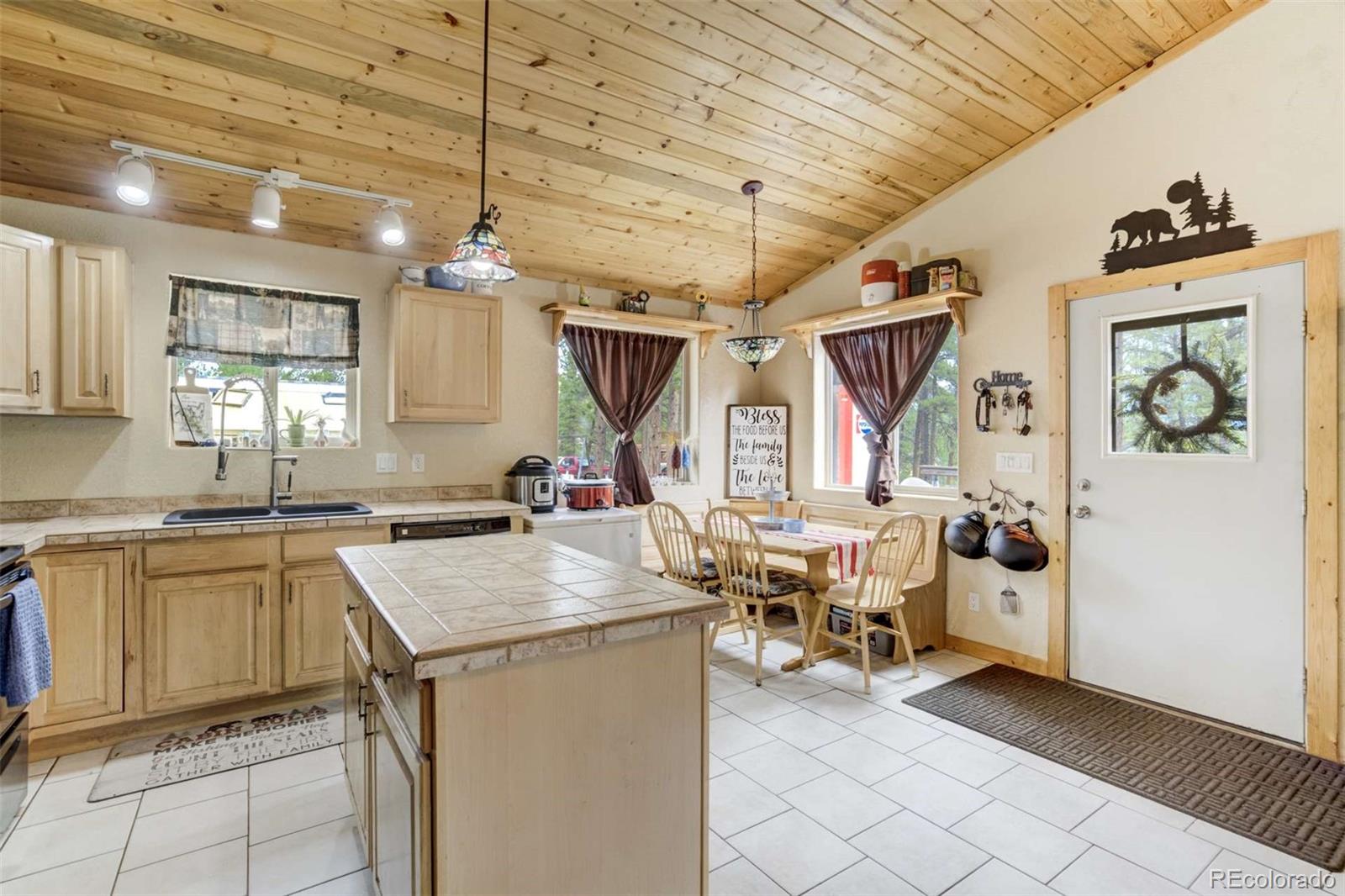 MLS Image #13 for 141  cabin lane,guffey, Colorado
