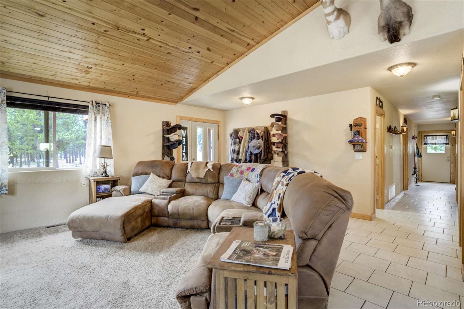 MLS Image #14 for 141  cabin lane,guffey, Colorado