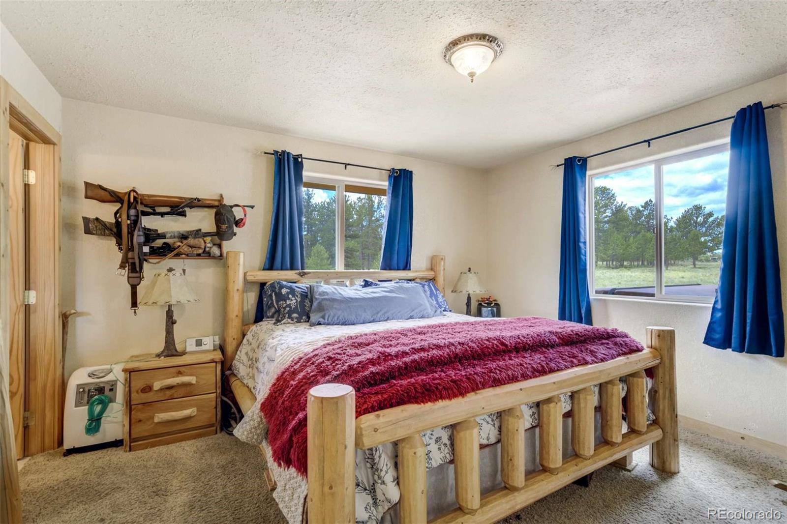 MLS Image #15 for 141  cabin lane,guffey, Colorado