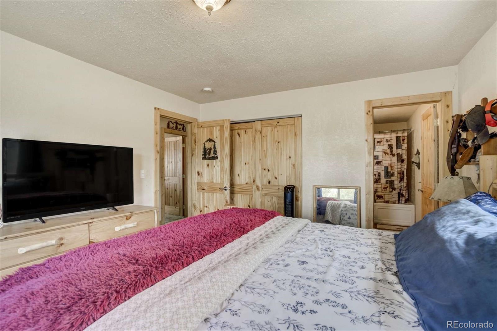 MLS Image #16 for 141  cabin lane,guffey, Colorado