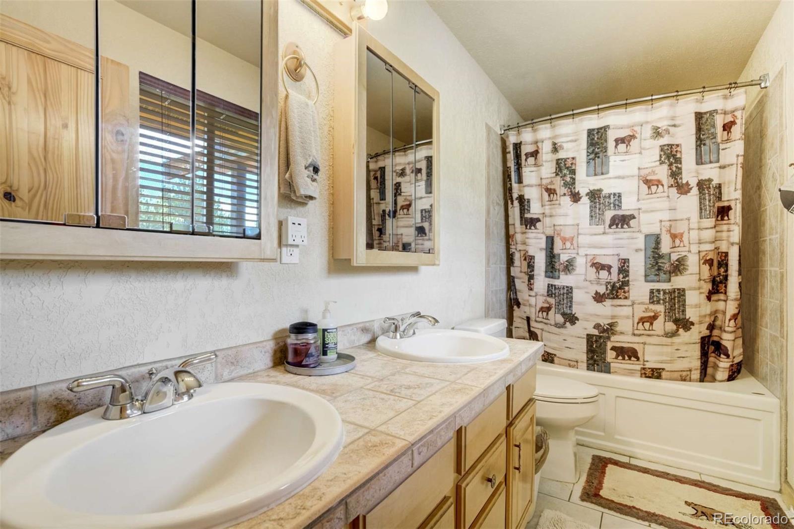 MLS Image #17 for 141  cabin lane,guffey, Colorado