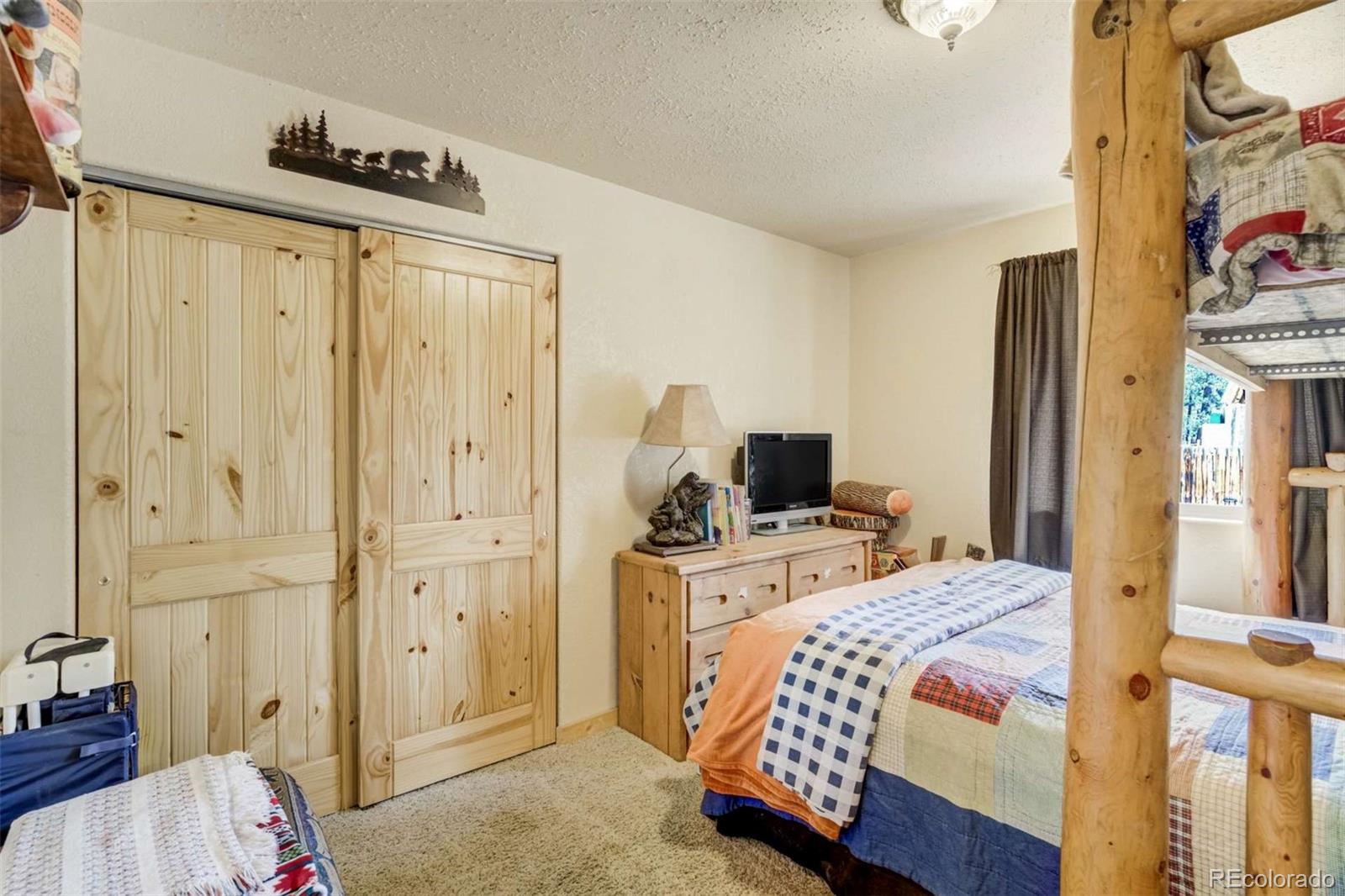 MLS Image #21 for 141  cabin lane,guffey, Colorado