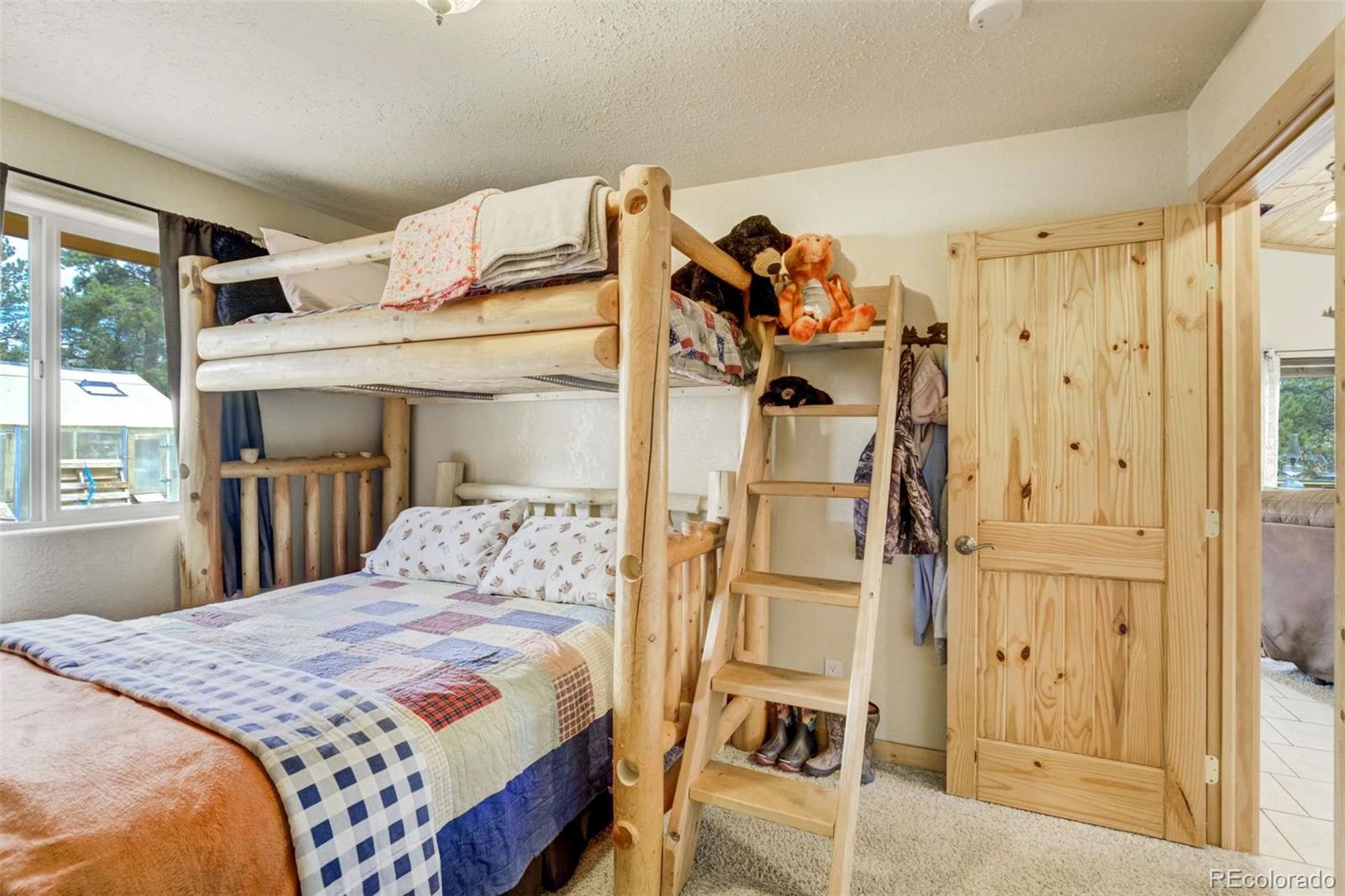 MLS Image #22 for 141  cabin lane,guffey, Colorado