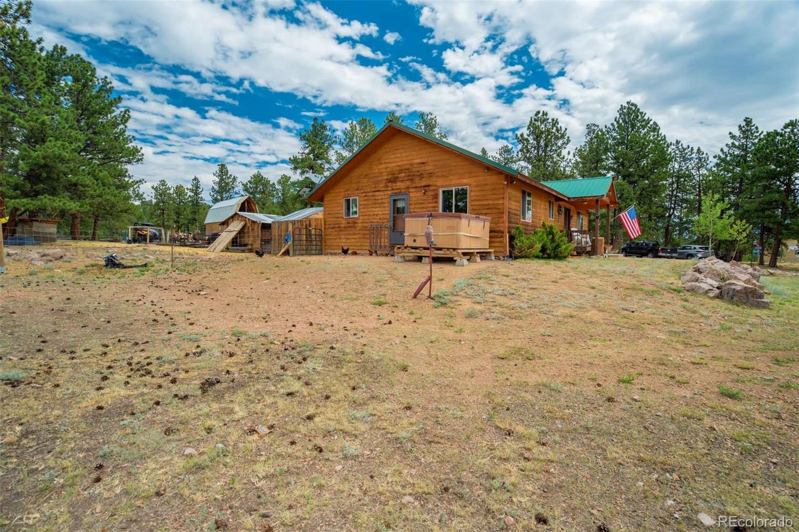 MLS Image #27 for 141  cabin lane,guffey, Colorado