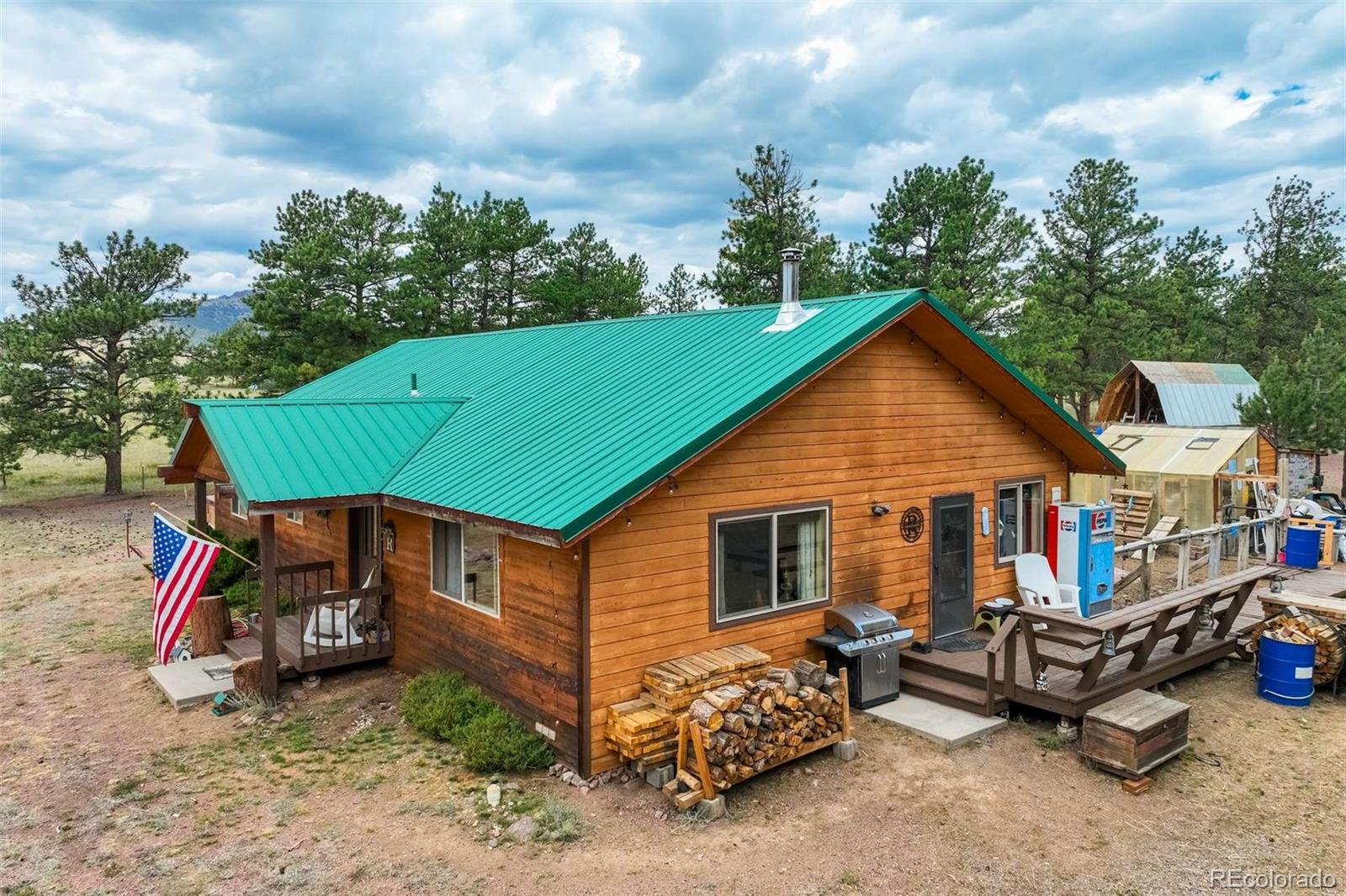 MLS Image #28 for 141  cabin lane,guffey, Colorado