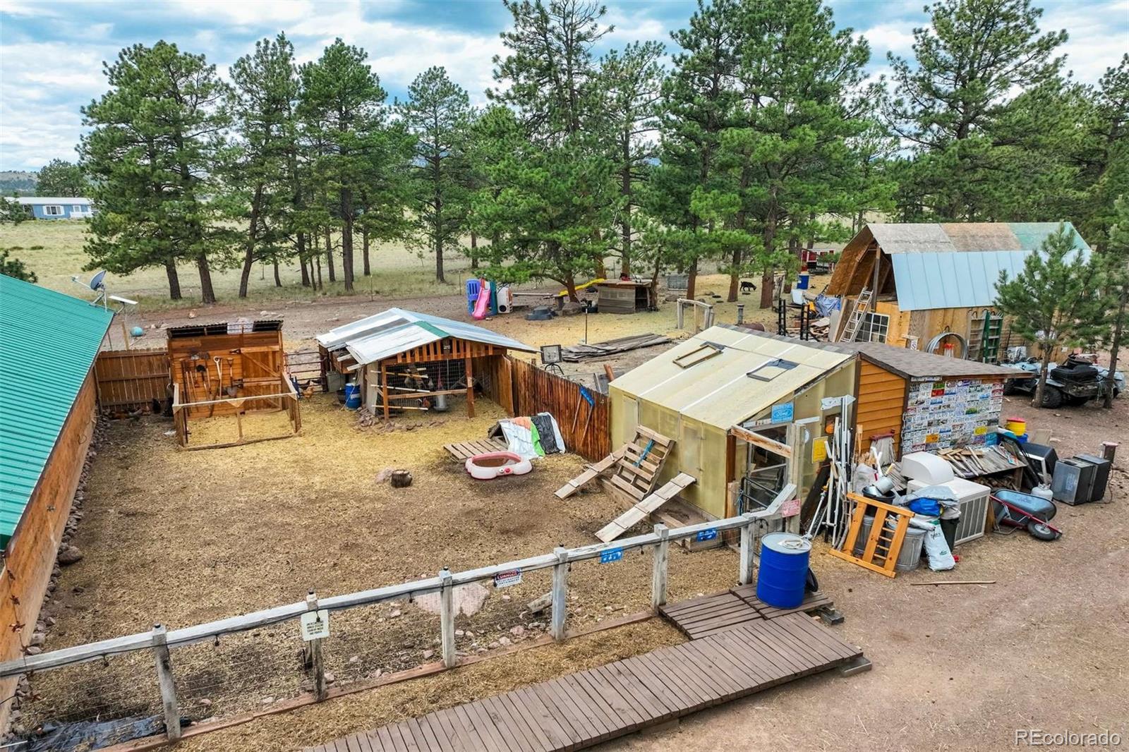 MLS Image #29 for 141  cabin lane,guffey, Colorado