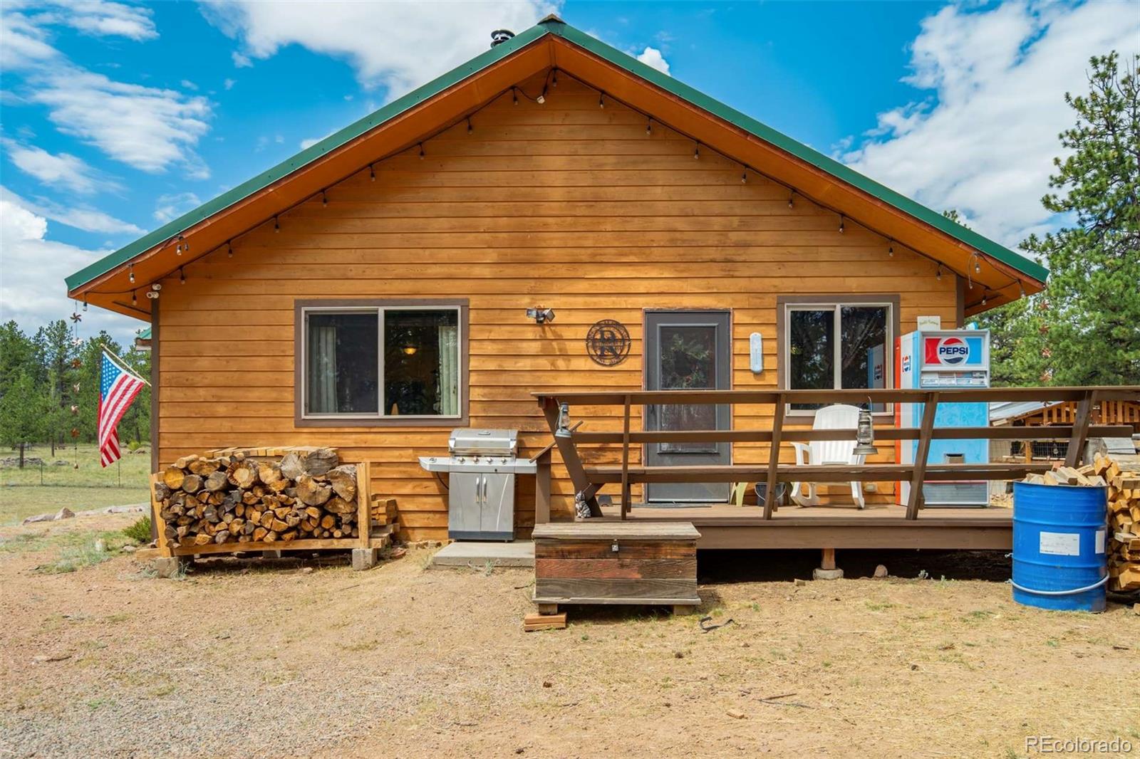 MLS Image #3 for 141  cabin lane,guffey, Colorado
