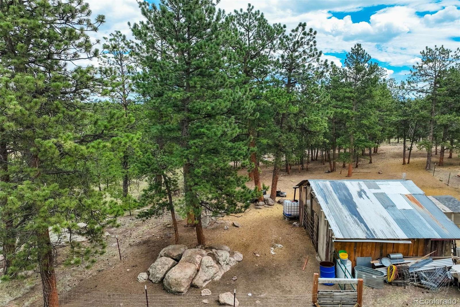 MLS Image #33 for 141  cabin lane,guffey, Colorado
