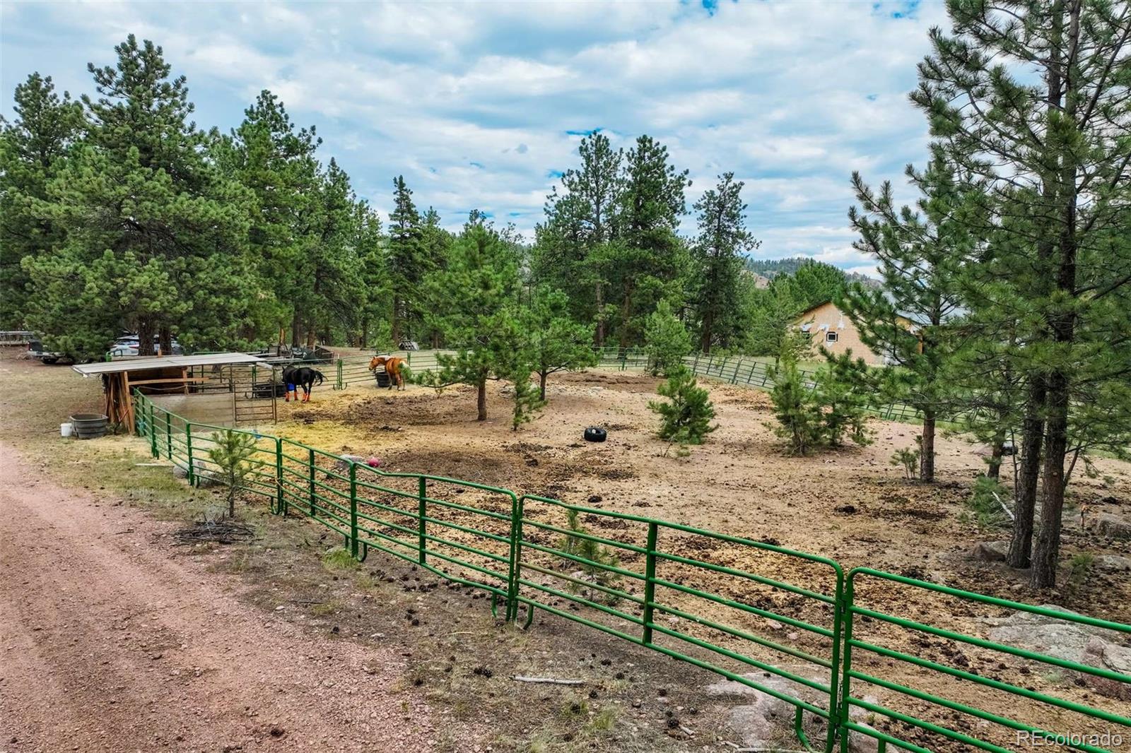 MLS Image #34 for 141  cabin lane,guffey, Colorado