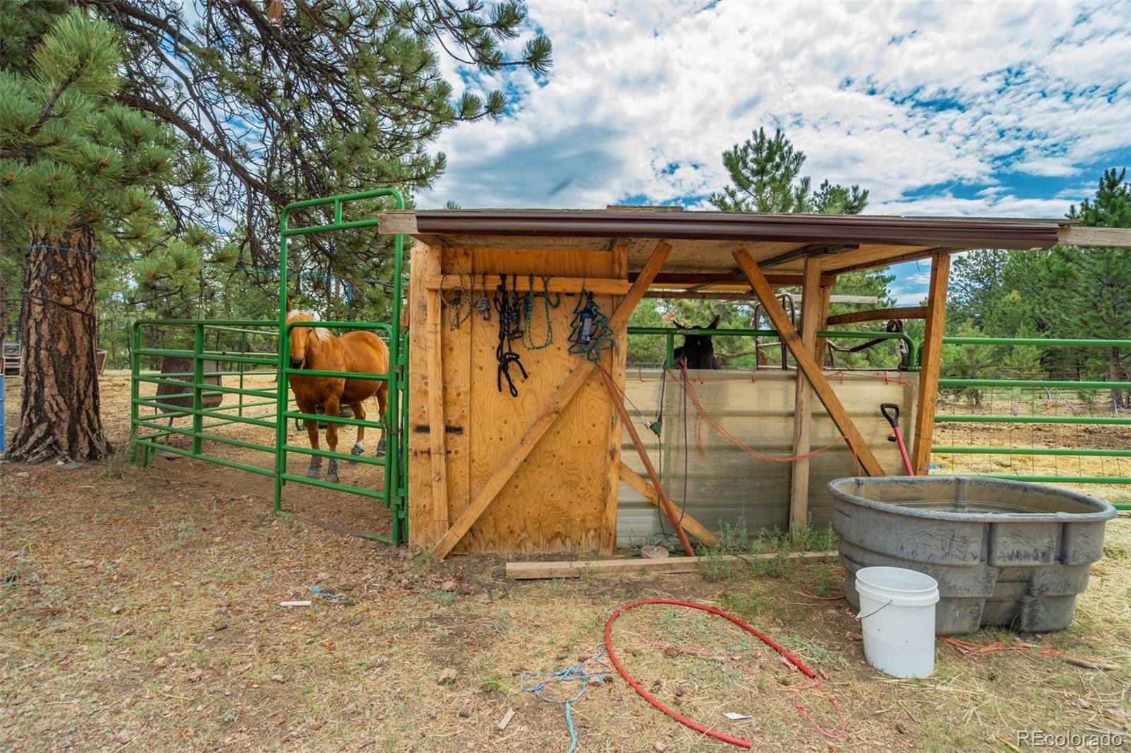 MLS Image #35 for 141  cabin lane,guffey, Colorado