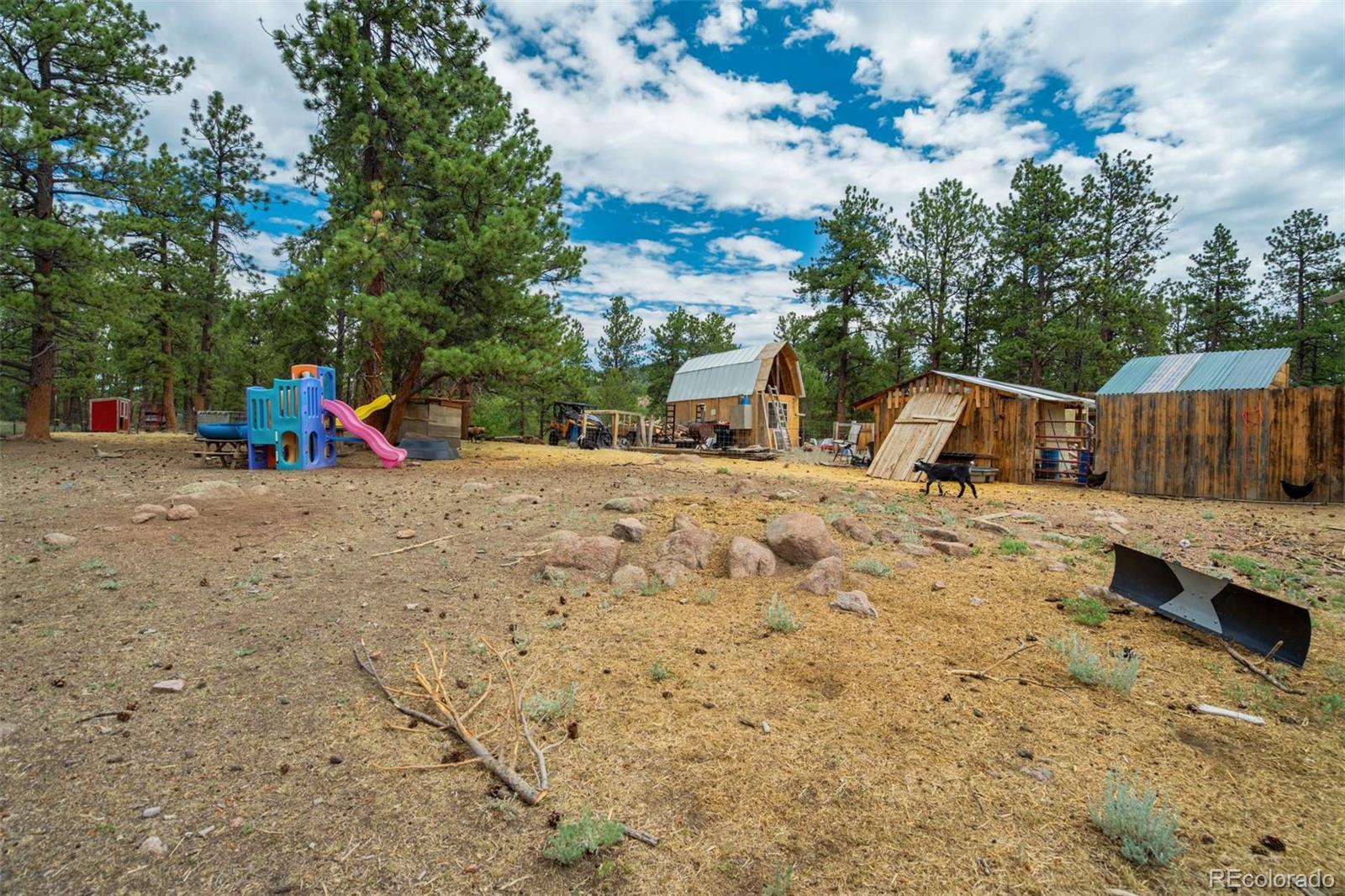 MLS Image #36 for 141  cabin lane,guffey, Colorado