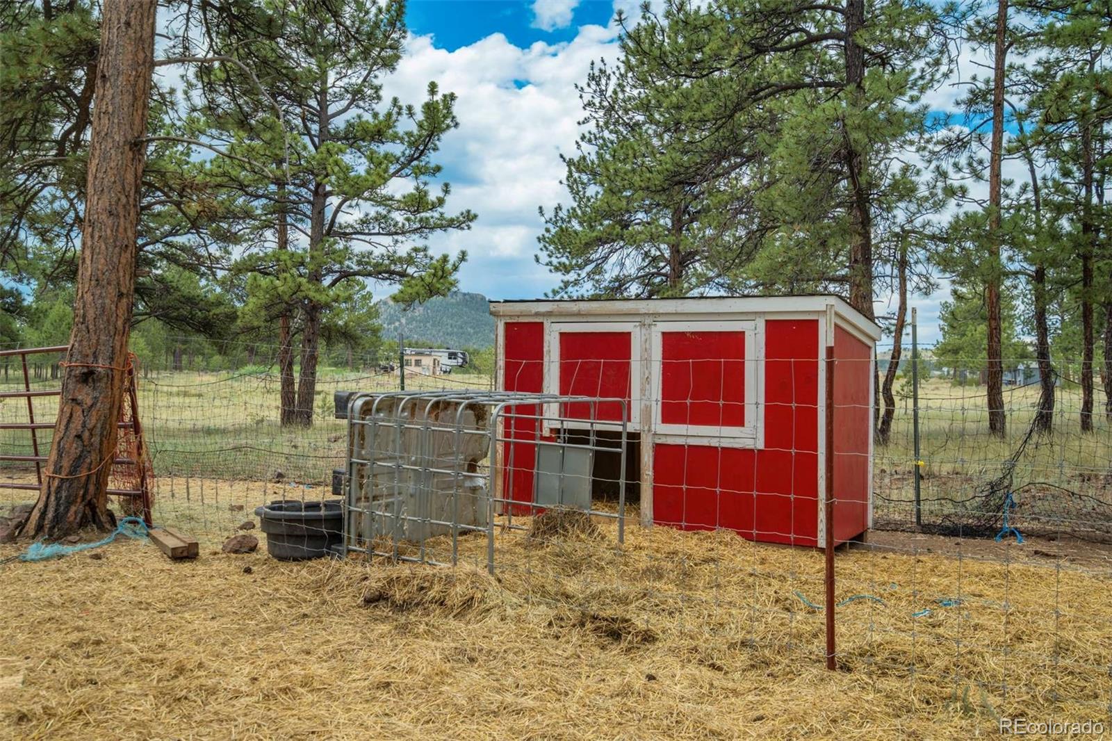 MLS Image #38 for 141  cabin lane,guffey, Colorado