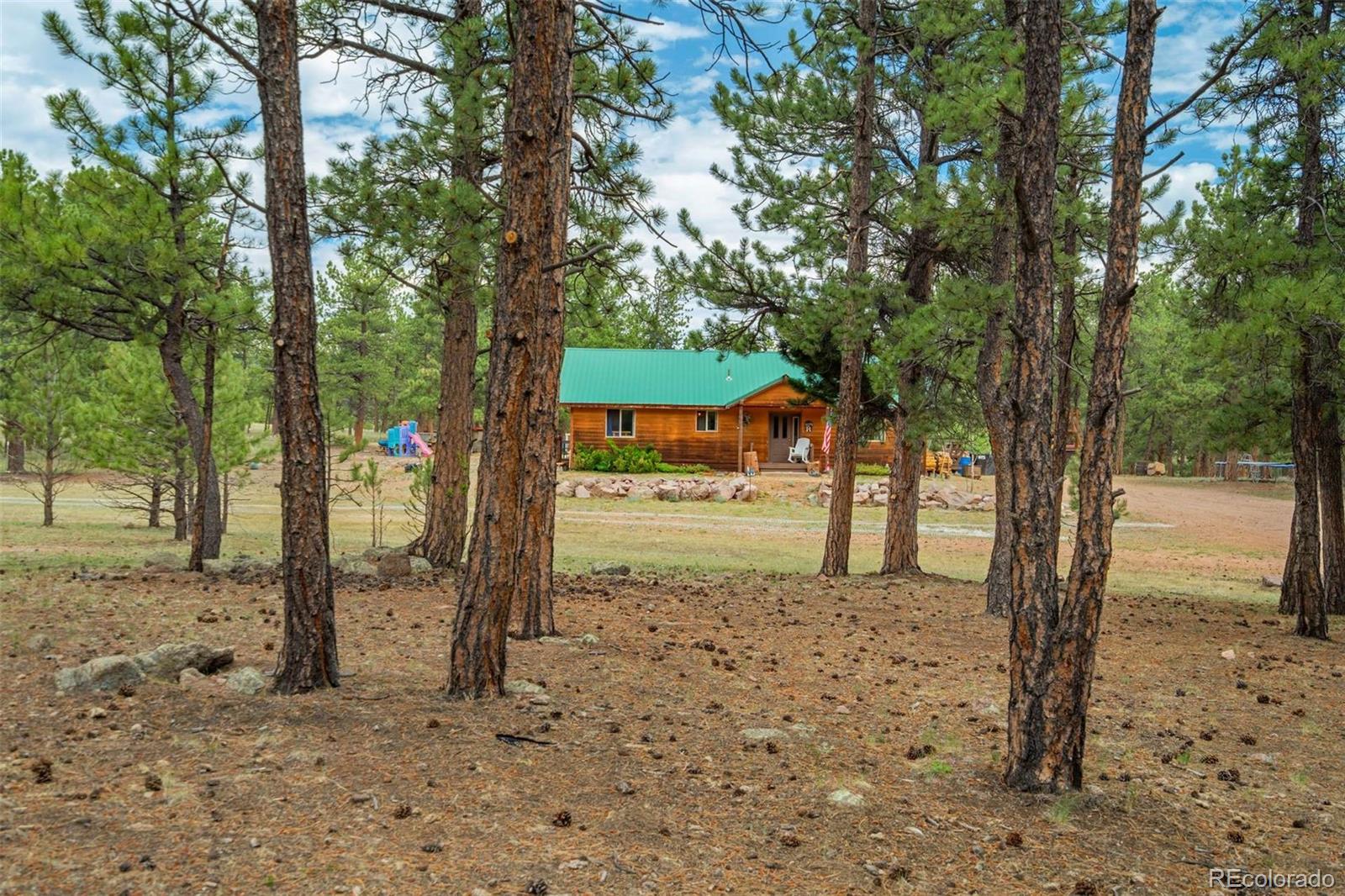 MLS Image #40 for 141  cabin lane,guffey, Colorado