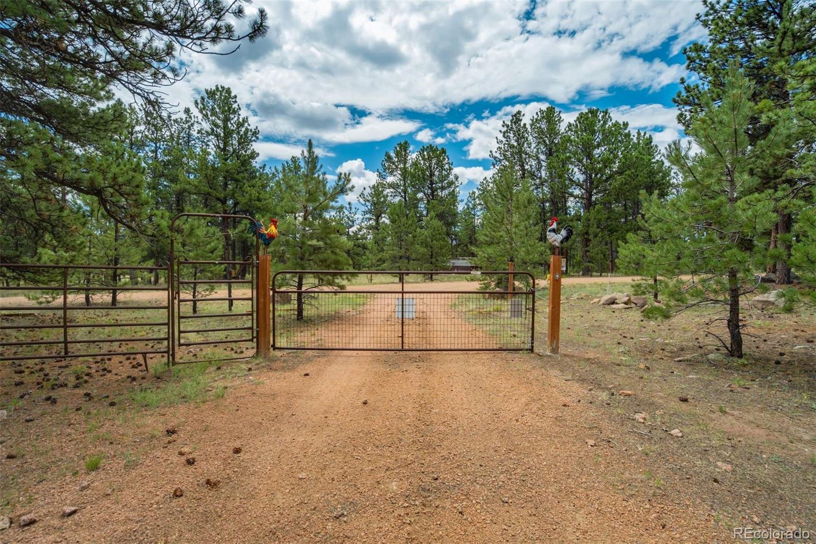 MLS Image #42 for 141  cabin lane,guffey, Colorado