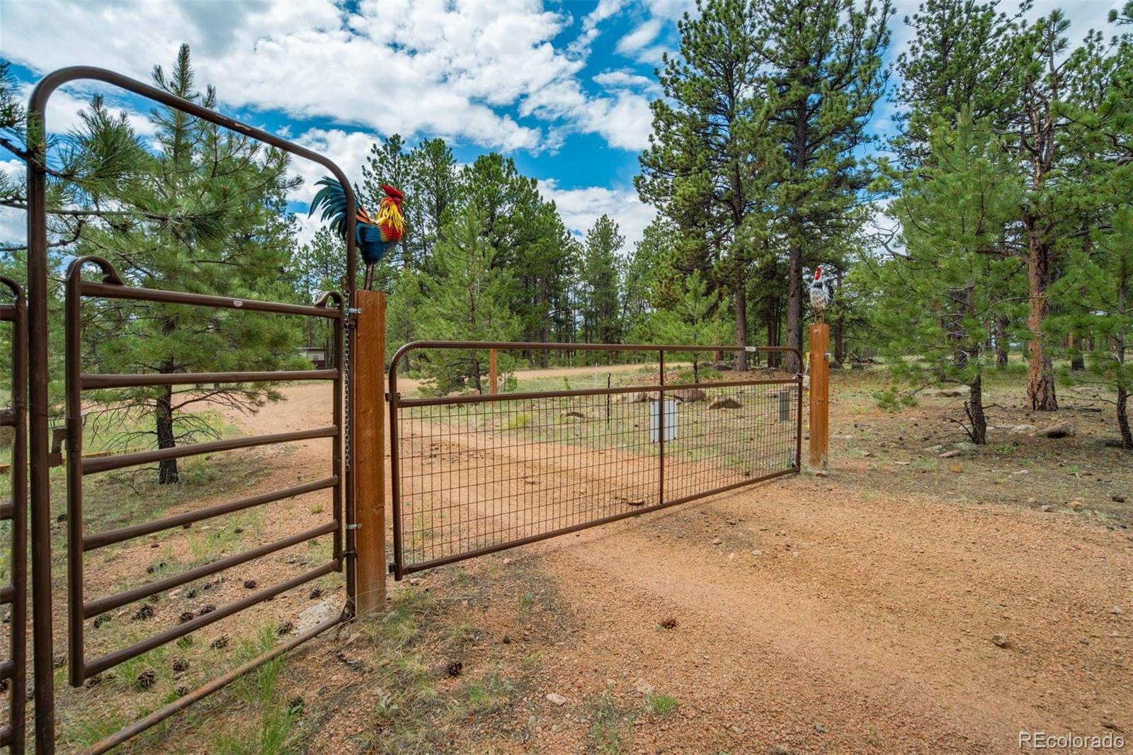 MLS Image #43 for 141  cabin lane,guffey, Colorado