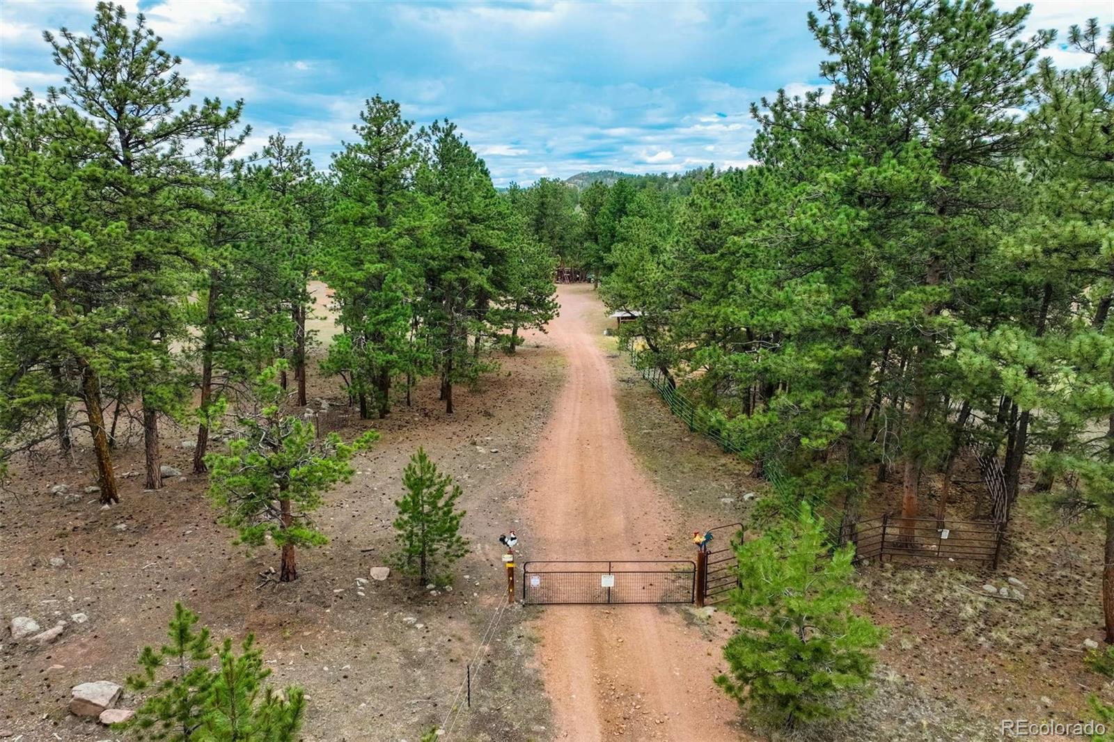 MLS Image #44 for 141  cabin lane,guffey, Colorado
