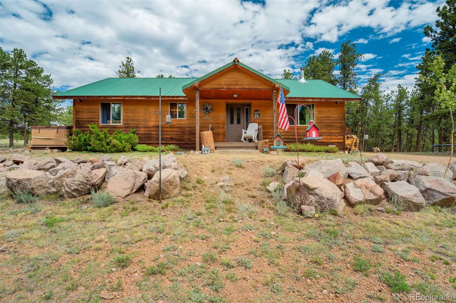 MLS Image #5 for 141  cabin lane,guffey, Colorado