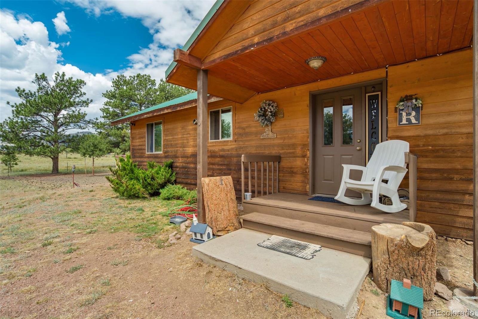 MLS Image #6 for 141  cabin lane,guffey, Colorado