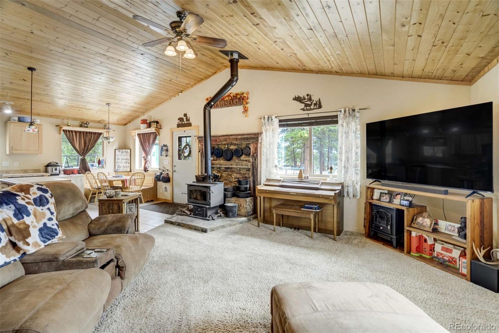 MLS Image #7 for 141  cabin lane,guffey, Colorado