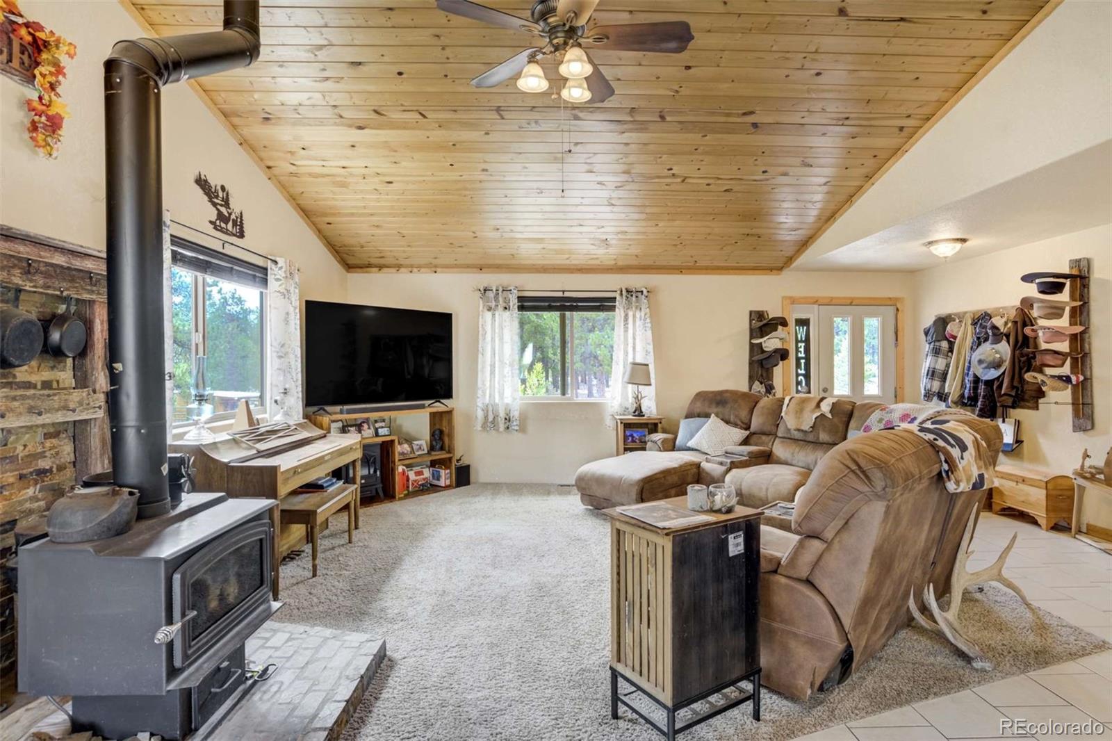 MLS Image #9 for 141  cabin lane,guffey, Colorado