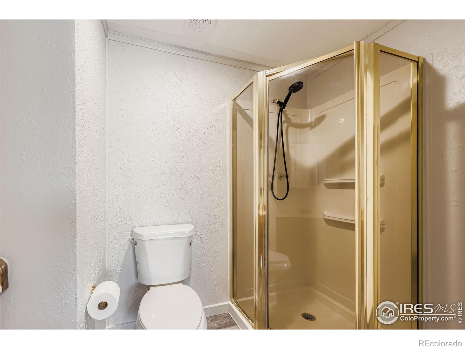 MLS Image #17 for 1201  mackay court,dacono, Colorado
