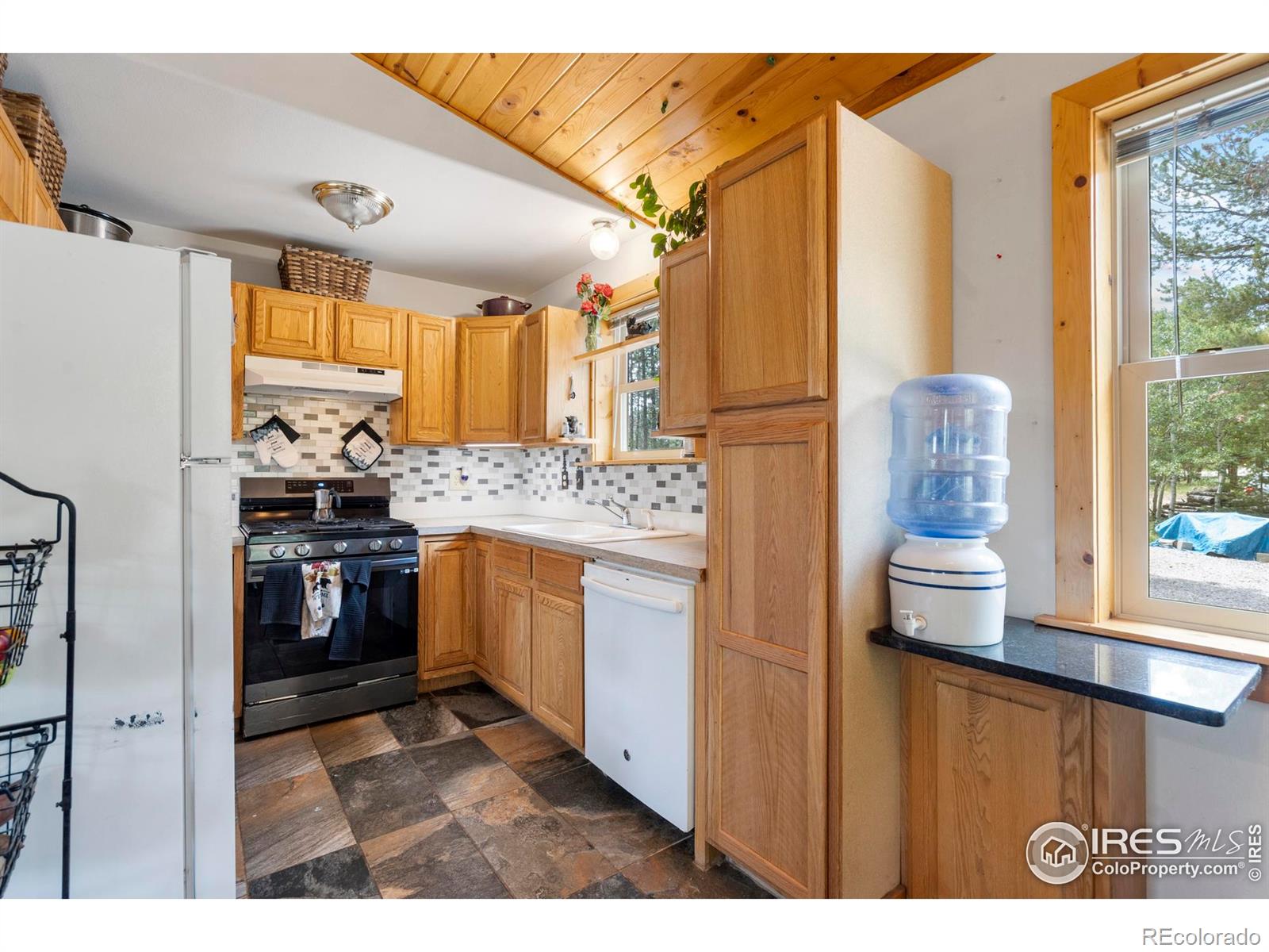 MLS Image #12 for 28  nonami court,red feather lakes, Colorado