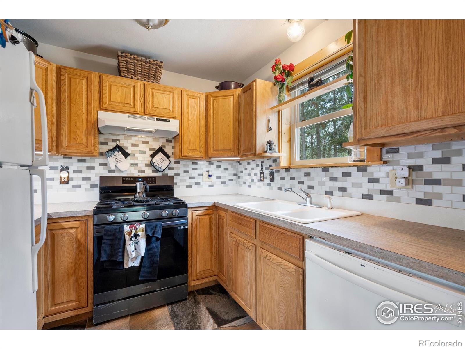 MLS Image #14 for 28  nonami court,red feather lakes, Colorado