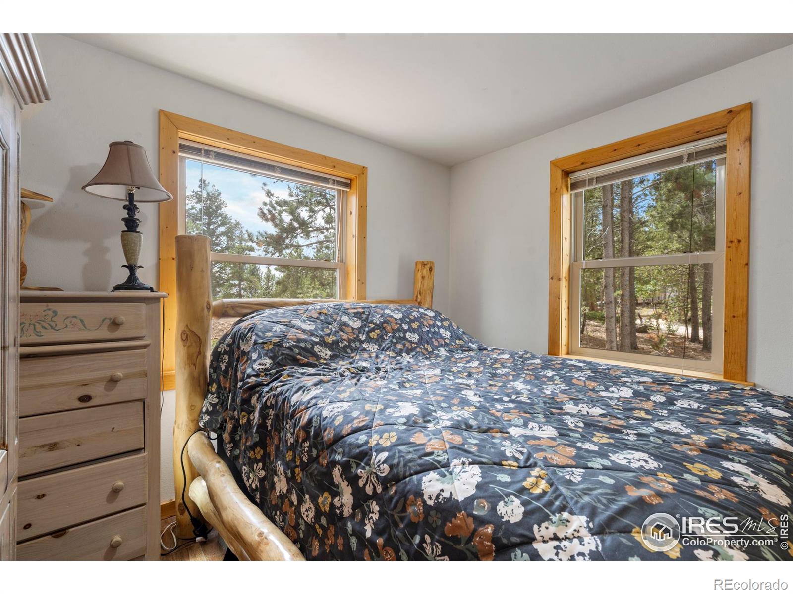 MLS Image #18 for 28  nonami court,red feather lakes, Colorado