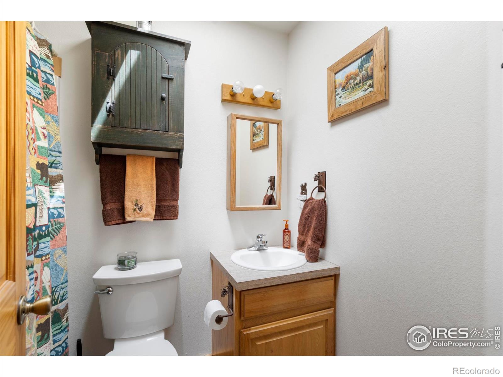 MLS Image #20 for 28  nonami court,red feather lakes, Colorado