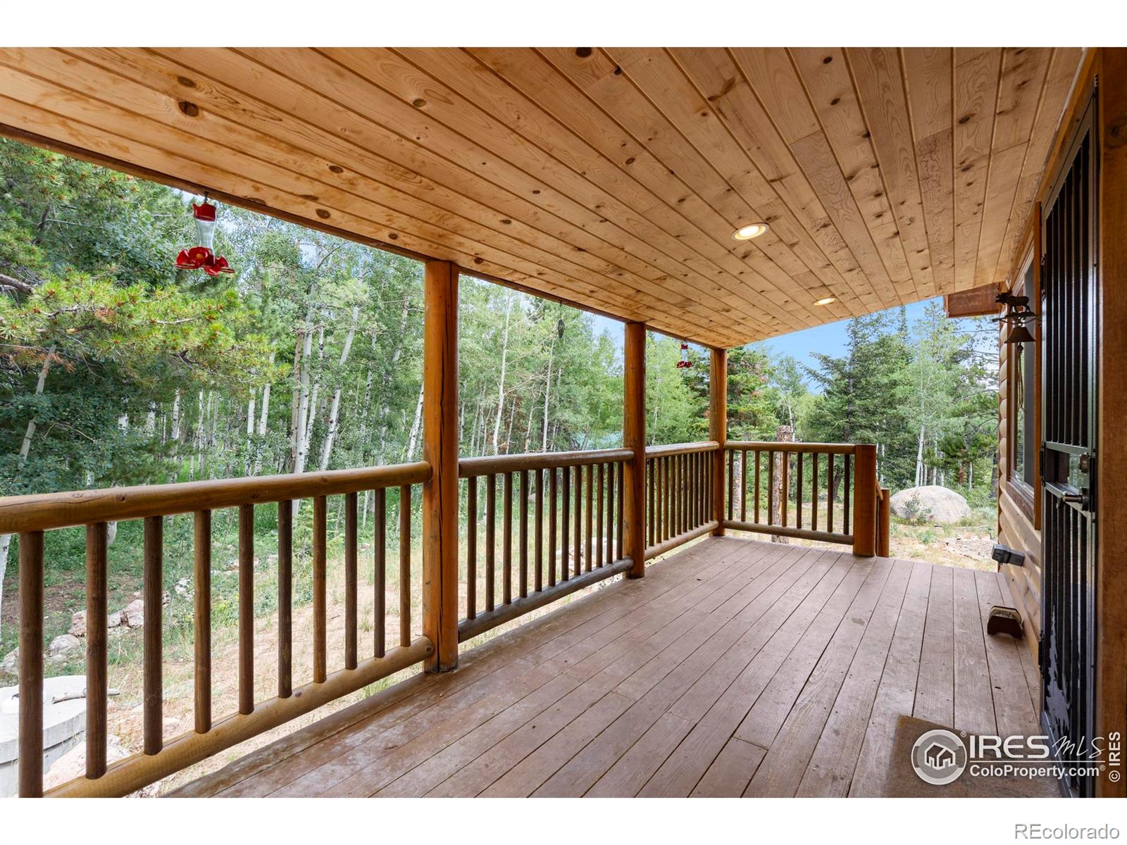 MLS Image #3 for 28  nonami court,red feather lakes, Colorado
