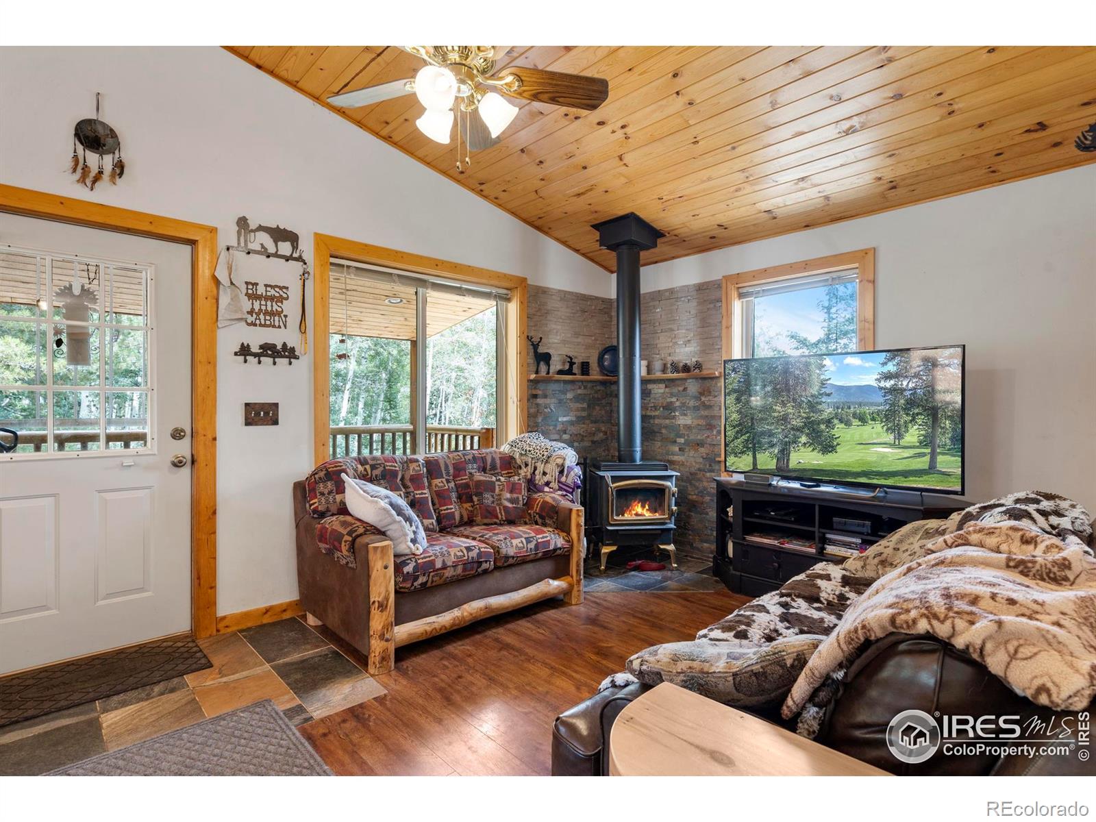 MLS Image #8 for 28  nonami court,red feather lakes, Colorado
