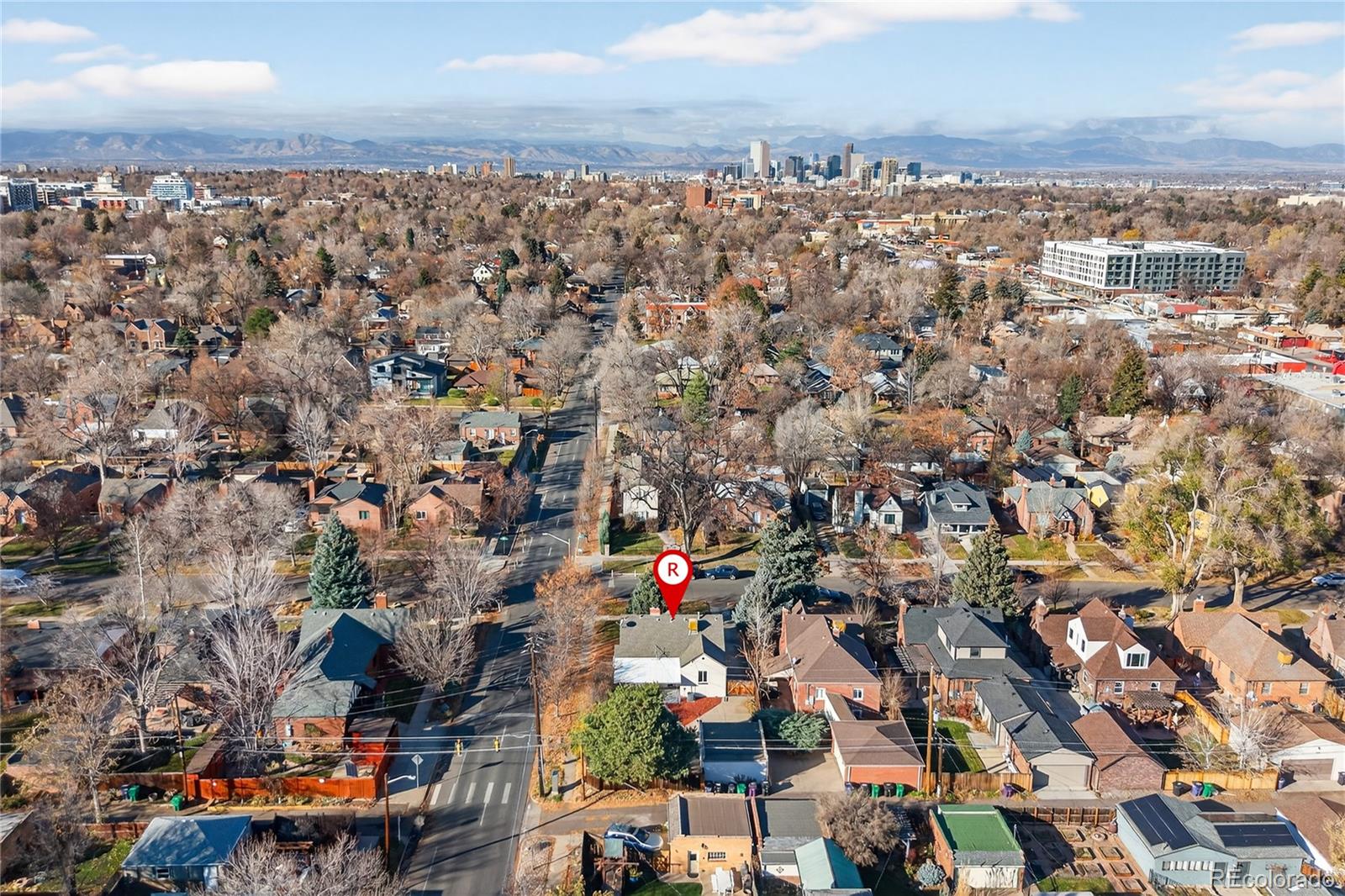 MLS Image #6 for 1400  glencoe street,denver, Colorado