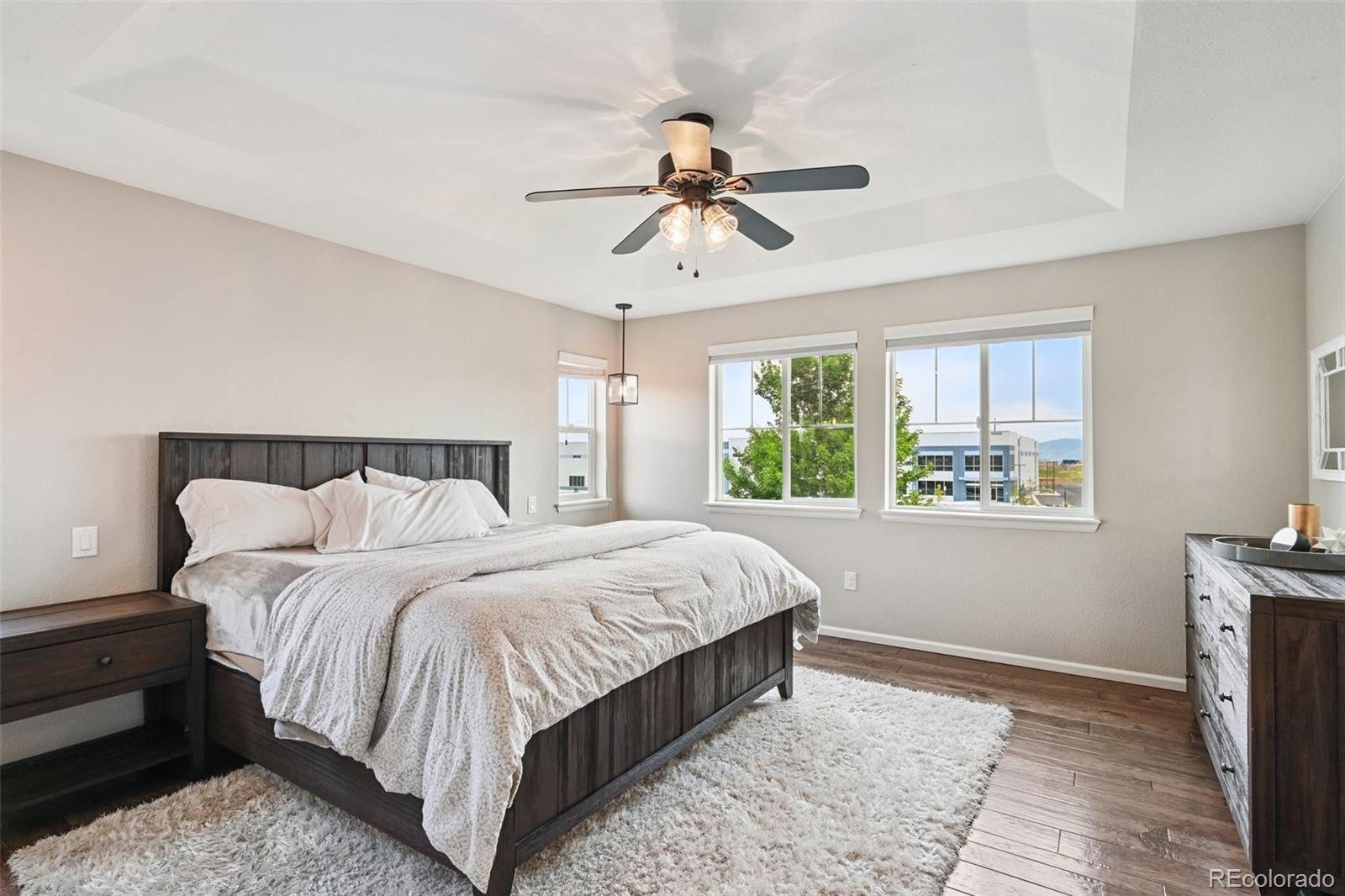 MLS Image #14 for 20046 w 93rd avenue,arvada, Colorado