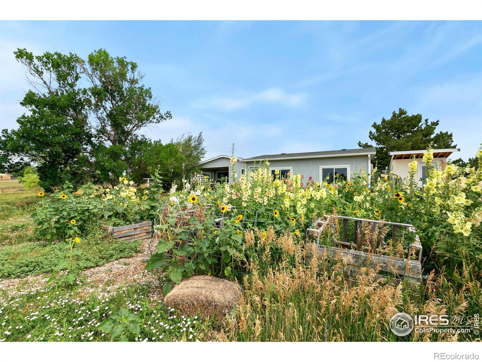 MLS Image #27 for 5472 n highway 1 ,fort collins, Colorado