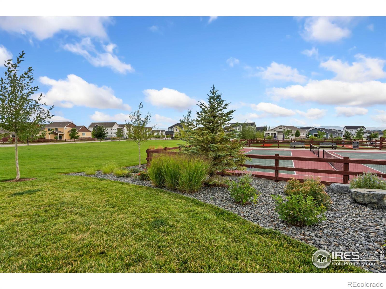 MLS Image #36 for 1683  thrive drive,windsor, Colorado
