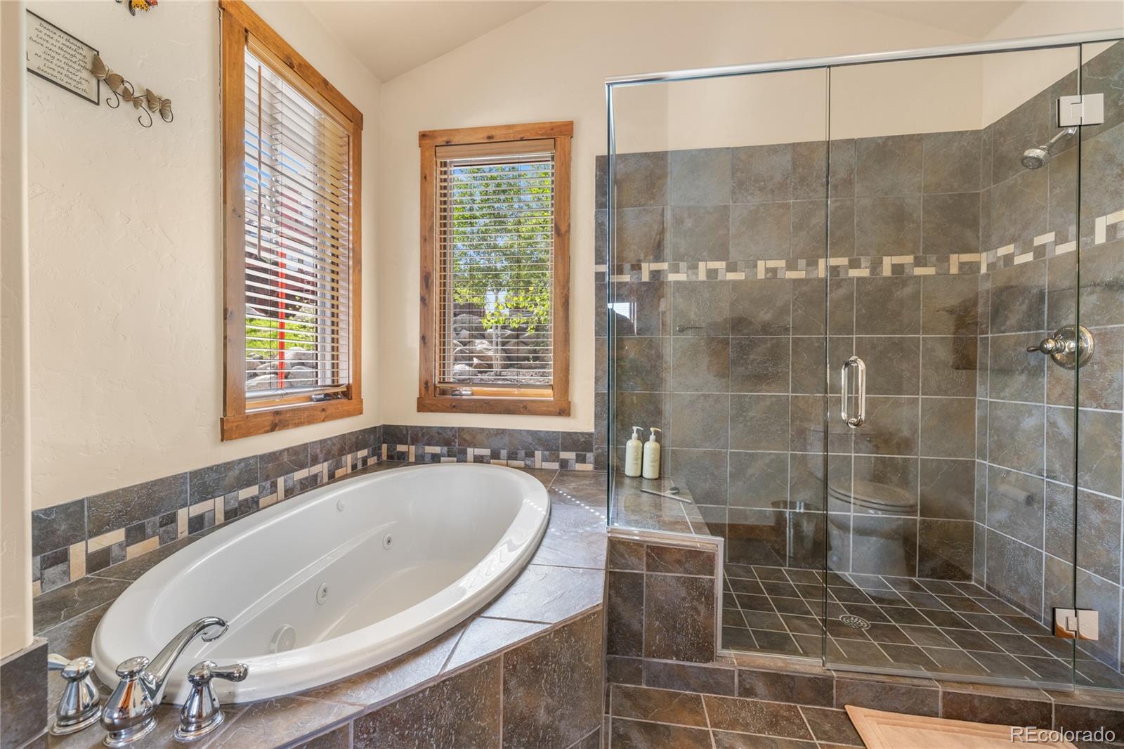MLS Image #20 for 215  bear trail court ,winter park, Colorado