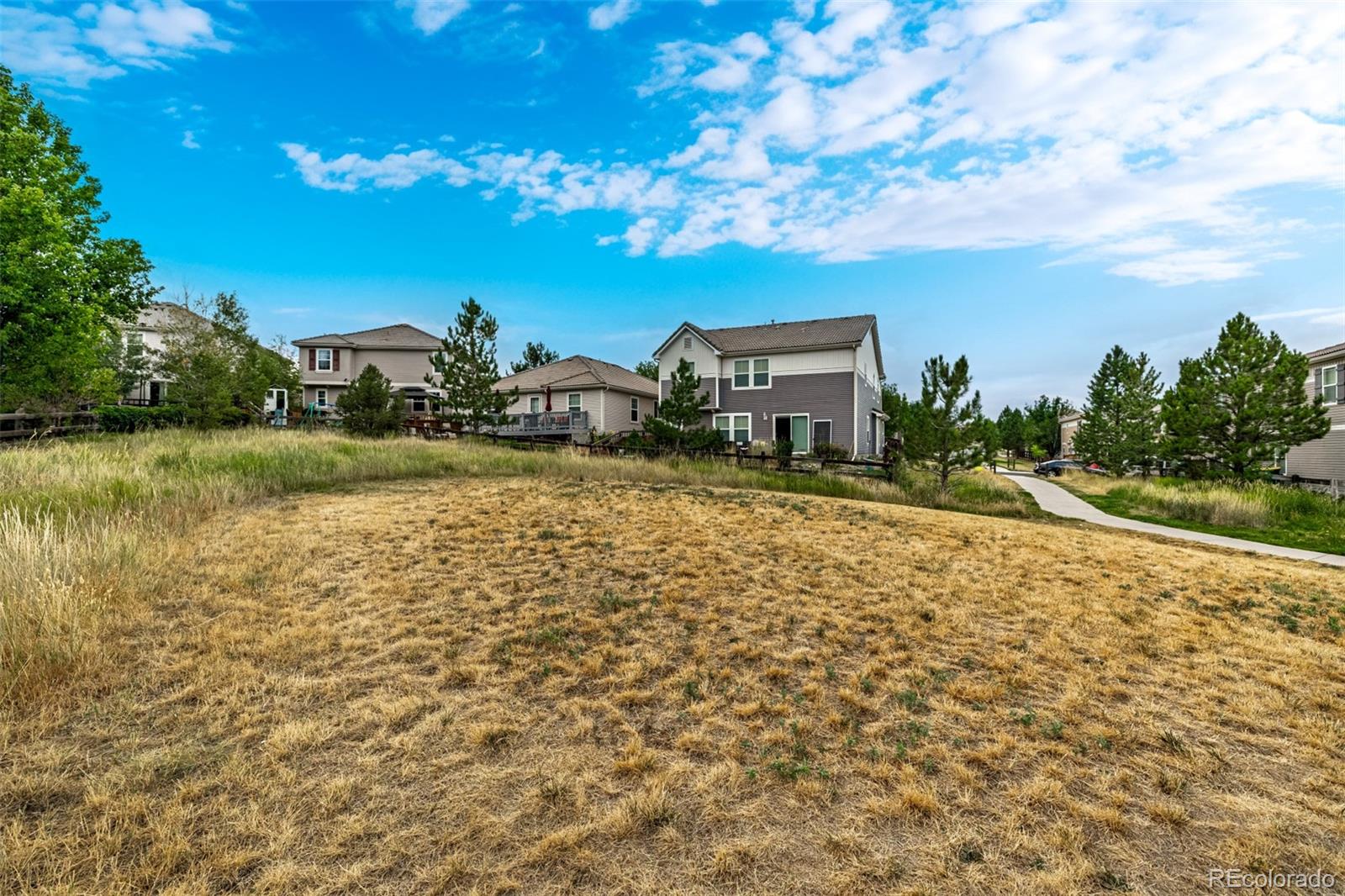 MLS Image #31 for 2002  quartz street,castle rock, Colorado