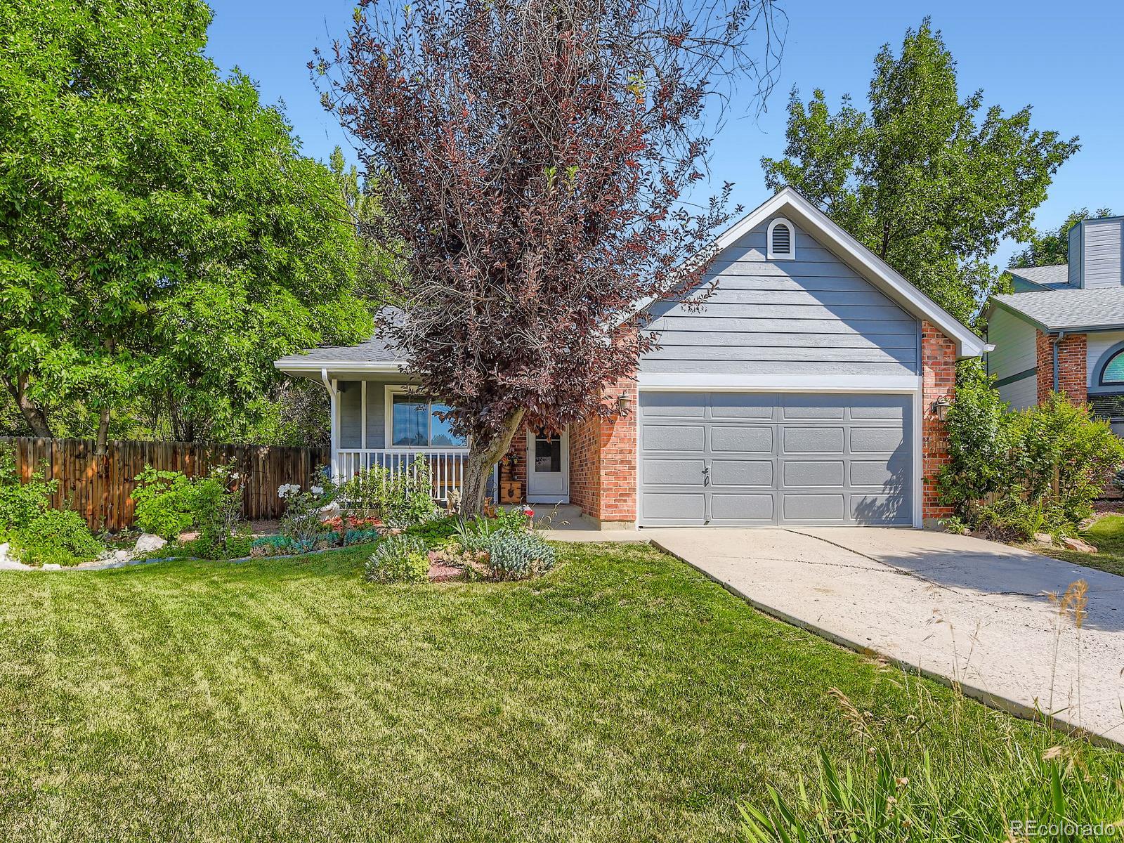 MLS Image #0 for 7825  sand mountain,littleton, Colorado