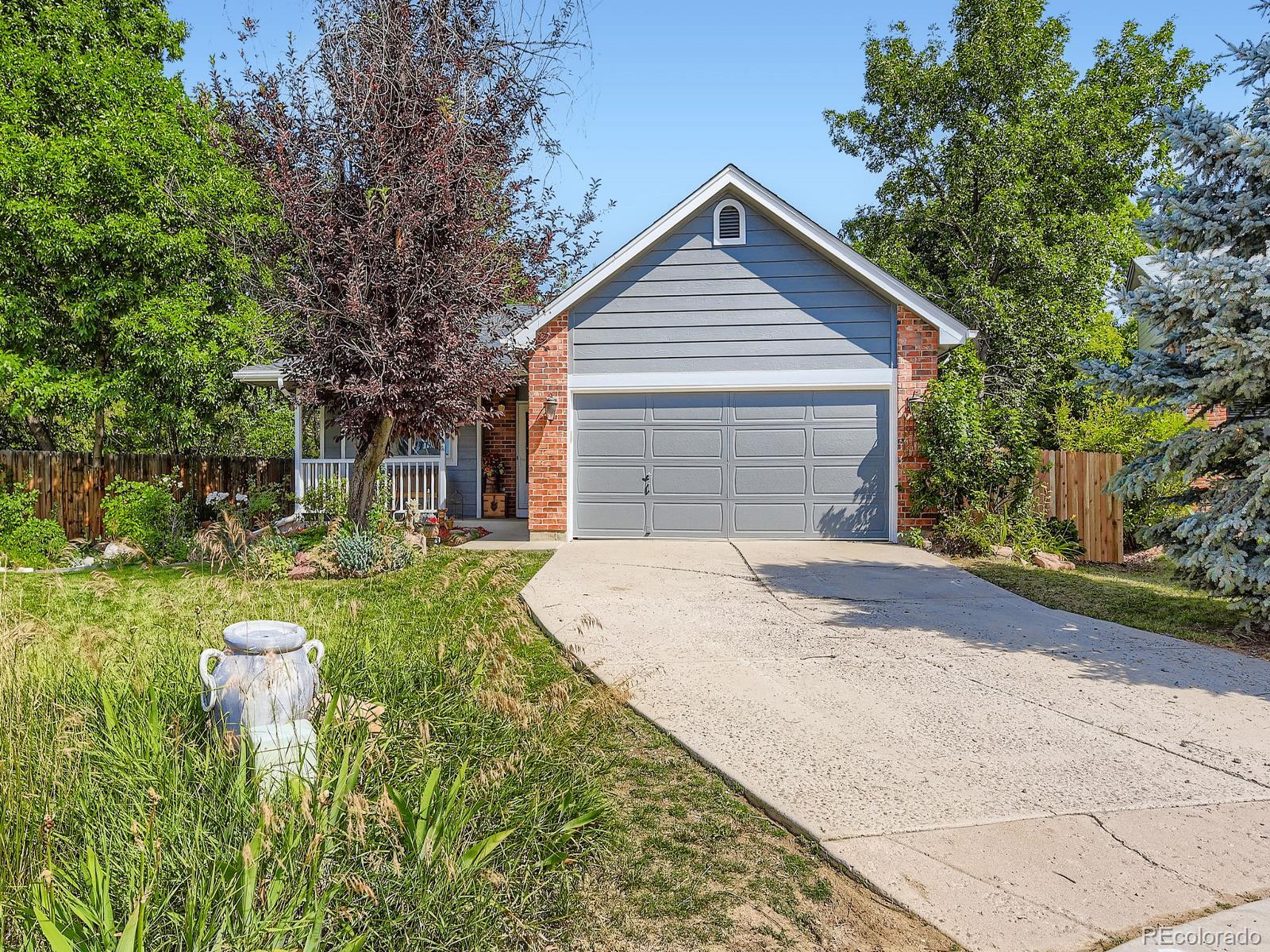 MLS Image #2 for 7825  sand mountain,littleton, Colorado