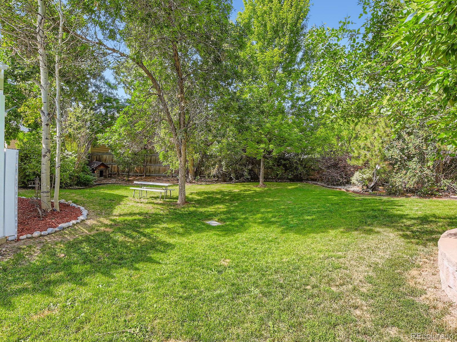 MLS Image #27 for 7825  sand mountain,littleton, Colorado