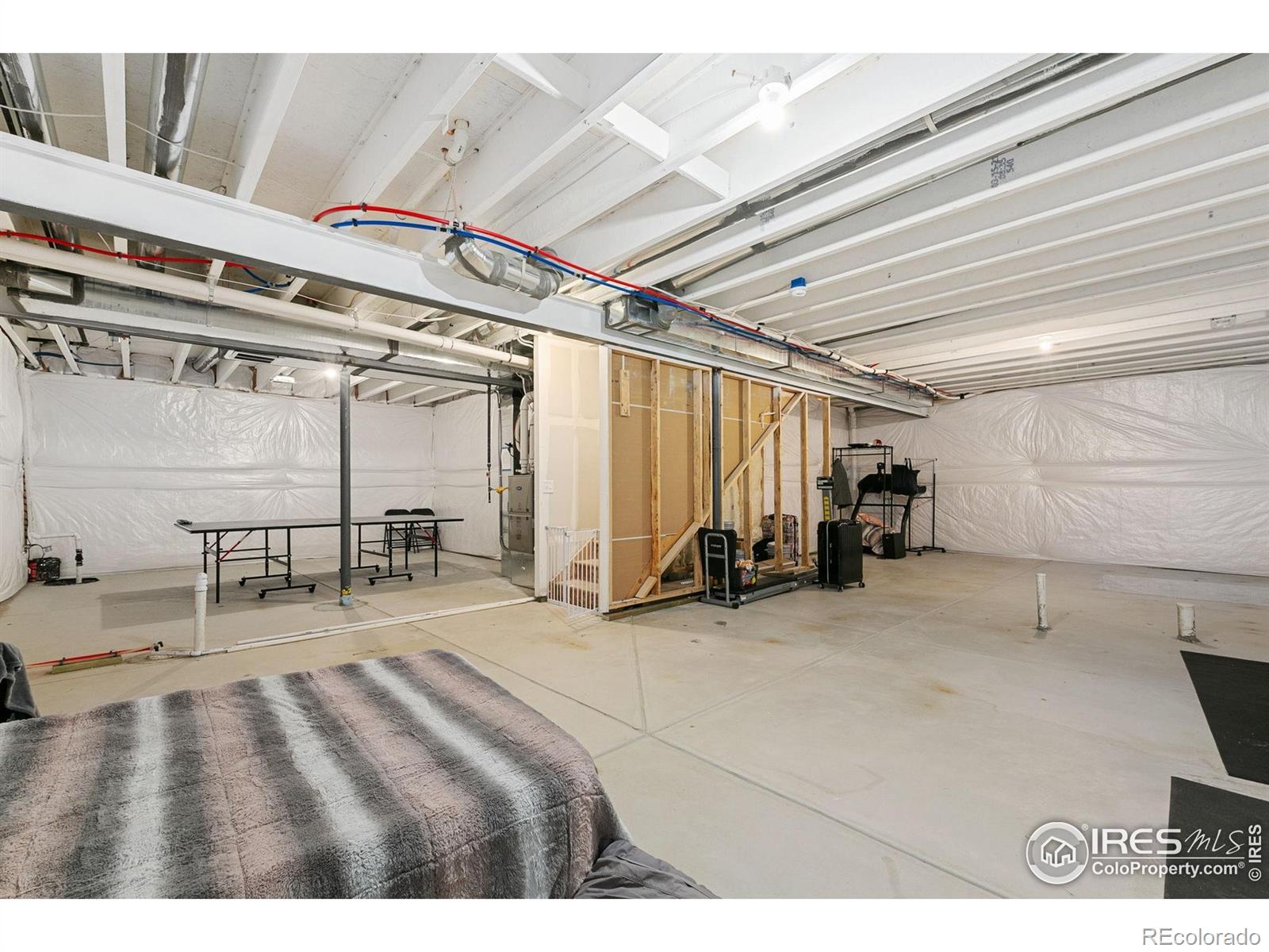 MLS Image #25 for 1576  illingworth drive,windsor, Colorado