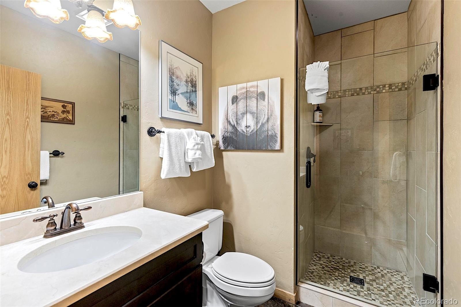 MLS Image #18 for 705  four oclock road m4,breckenridge, Colorado