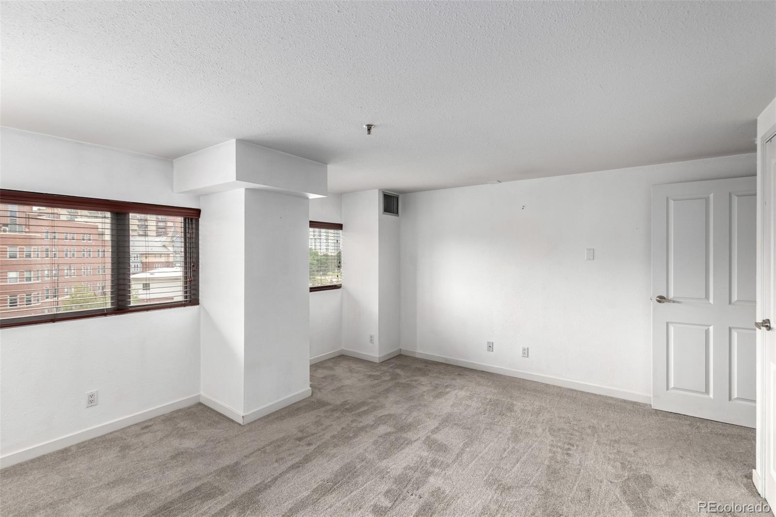 MLS Image #17 for 100  park avenue,denver, Colorado